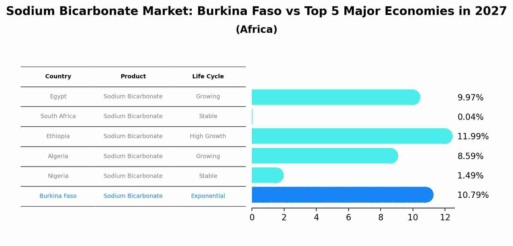 Sodium Bicarbonate Market: Burkina Faso vs Top 5 Major Economies in 2027 (Africa)