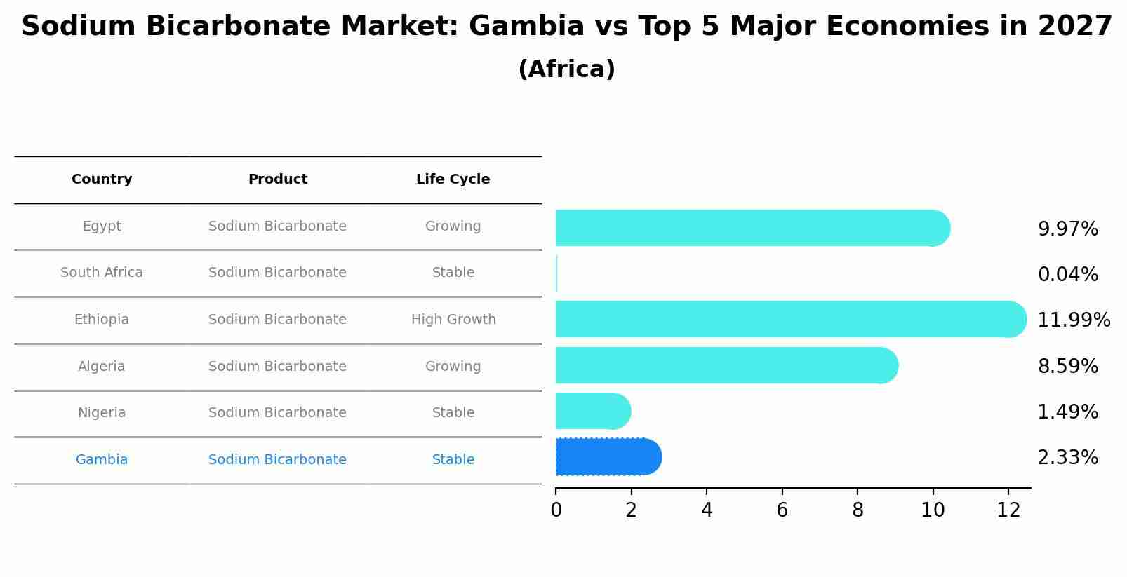 Sodium Bicarbonate Market: Gambia vs Top 5 Major Economies in 2027 (Africa)