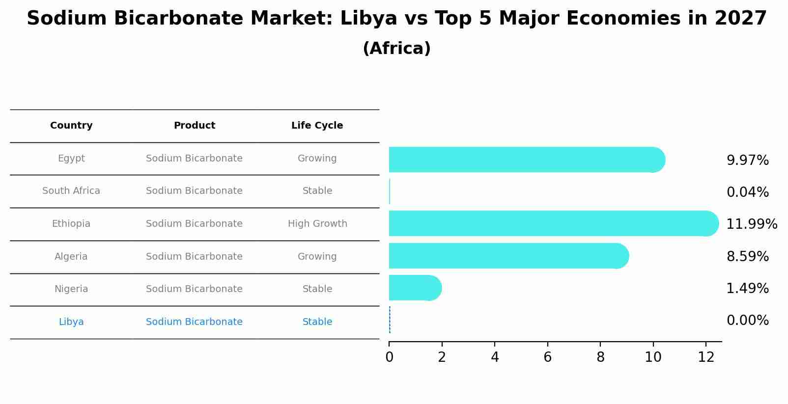 Sodium Bicarbonate Market: Libya vs Top 5 Major Economies in 2027 (Africa)