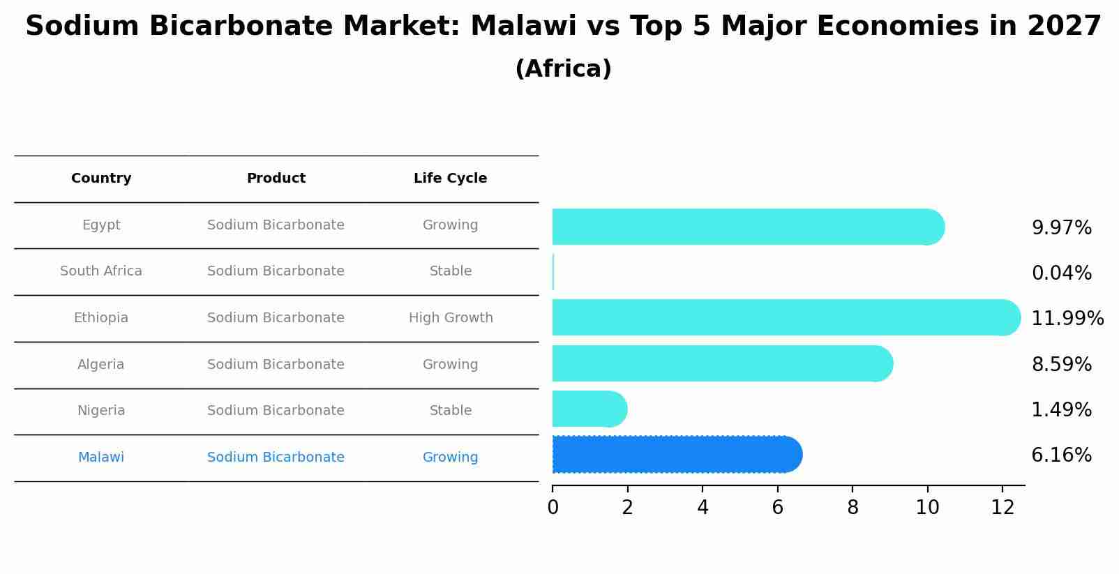 Sodium Bicarbonate Market: Malawi vs Top 5 Major Economies in 2027 (Africa)
