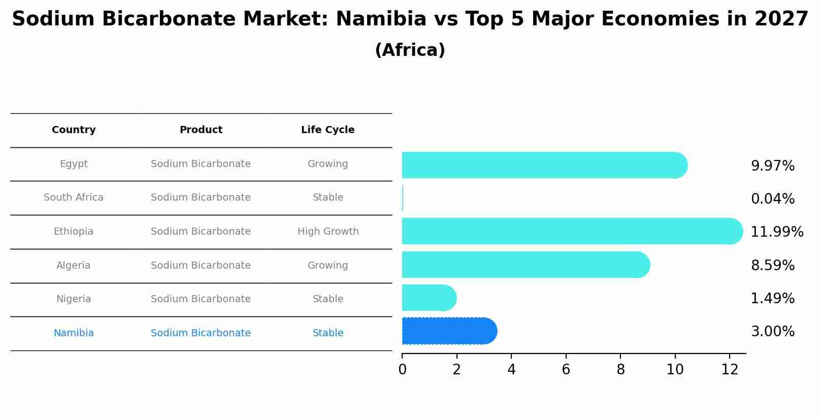 Sodium Bicarbonate Market: Namibia vs Top 5 Major Economies in 2027 (Africa)