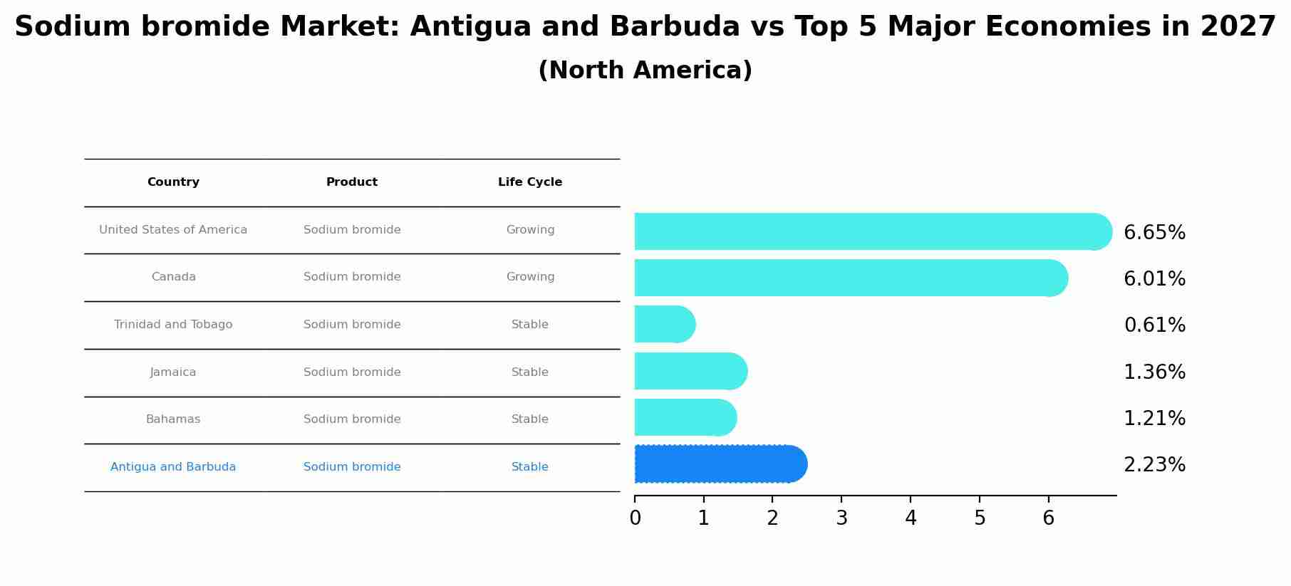 Sodium bromide Market: Antigua and Barbuda vs Top 5 Major Economies in 2027 (North America)