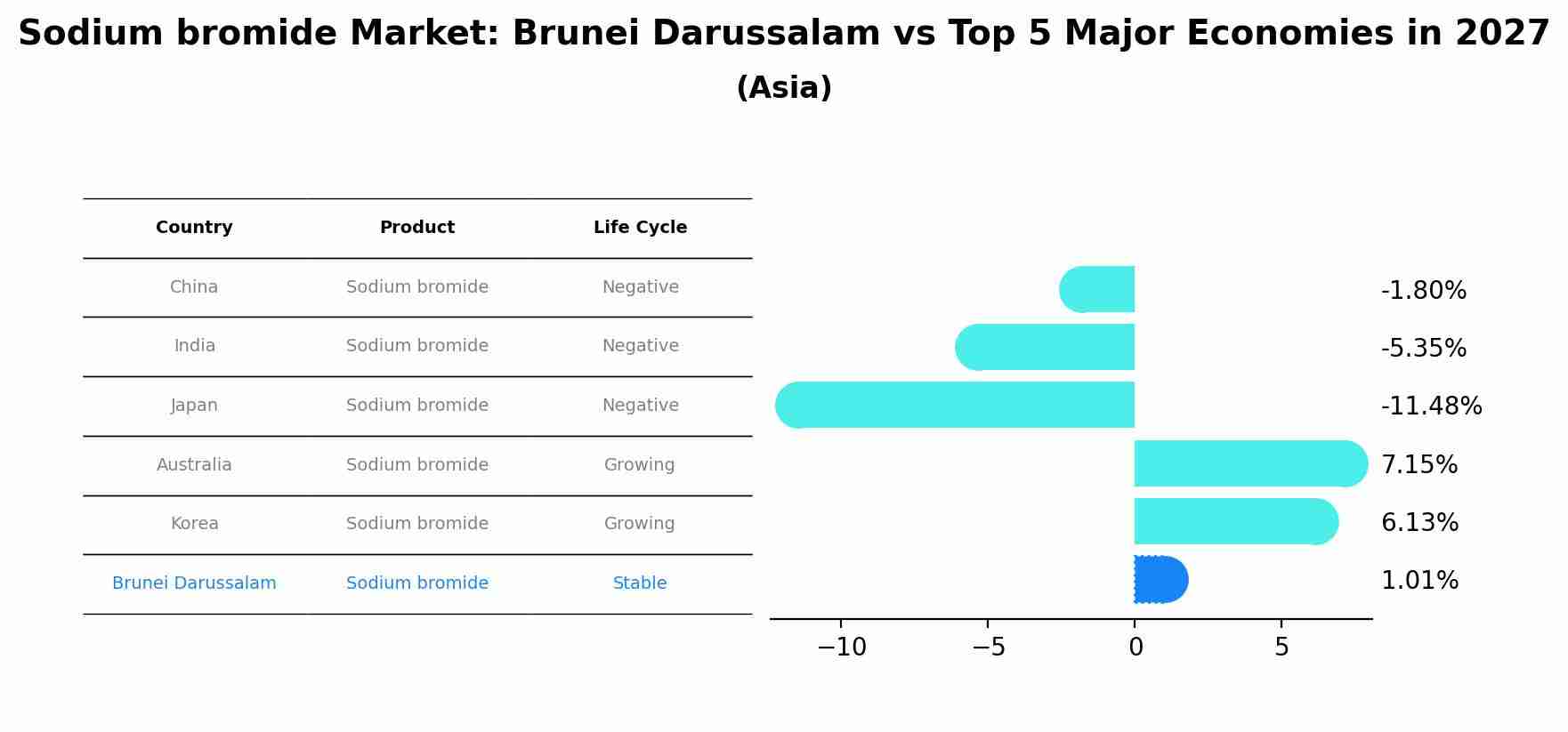 Sodium bromide Market: Brunei Darussalam vs Top 5 Major Economies in 2027 (Asia)