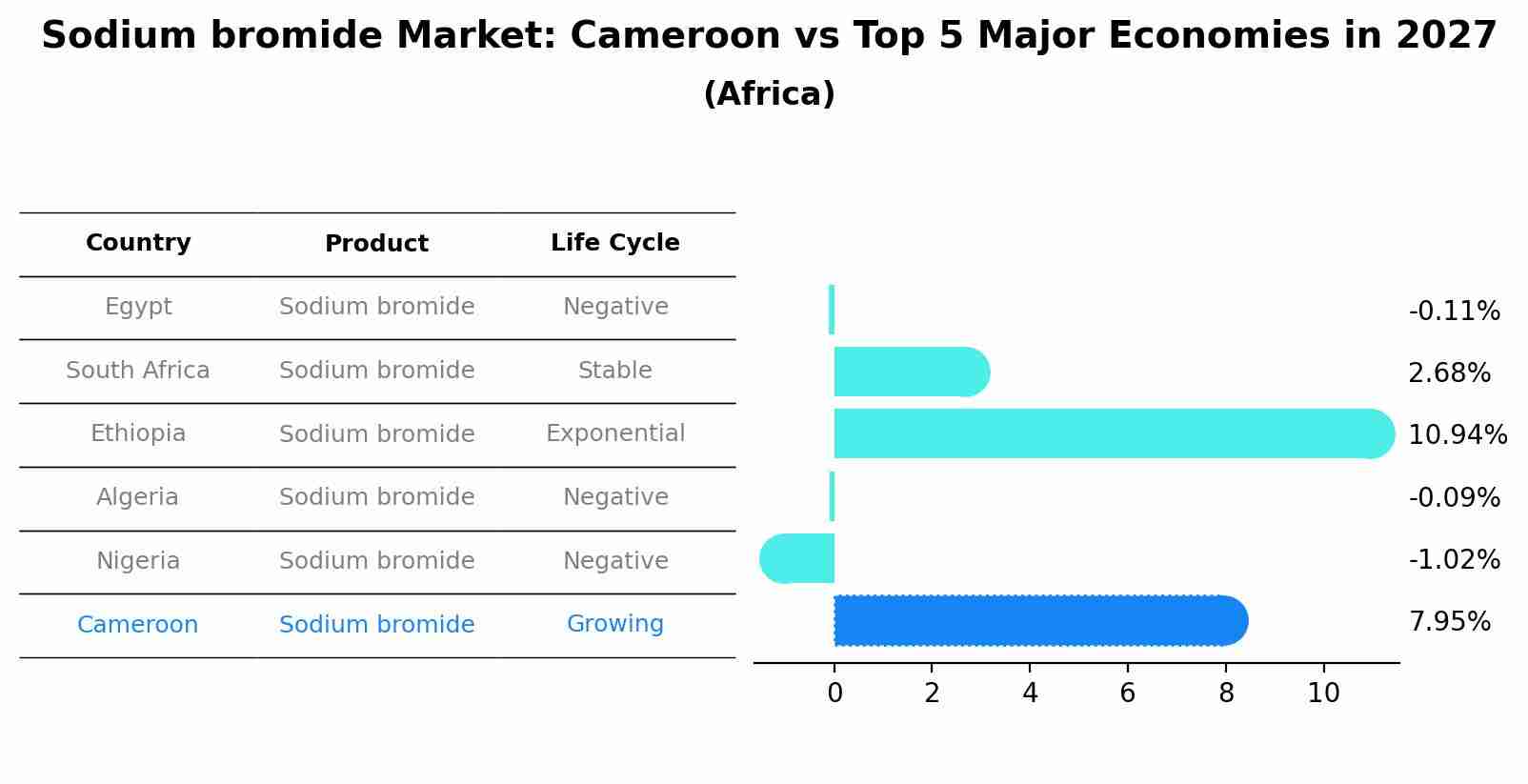 Sodium bromide Market: Cameroon vs Top 5 Major Economies in 2027 (Africa)