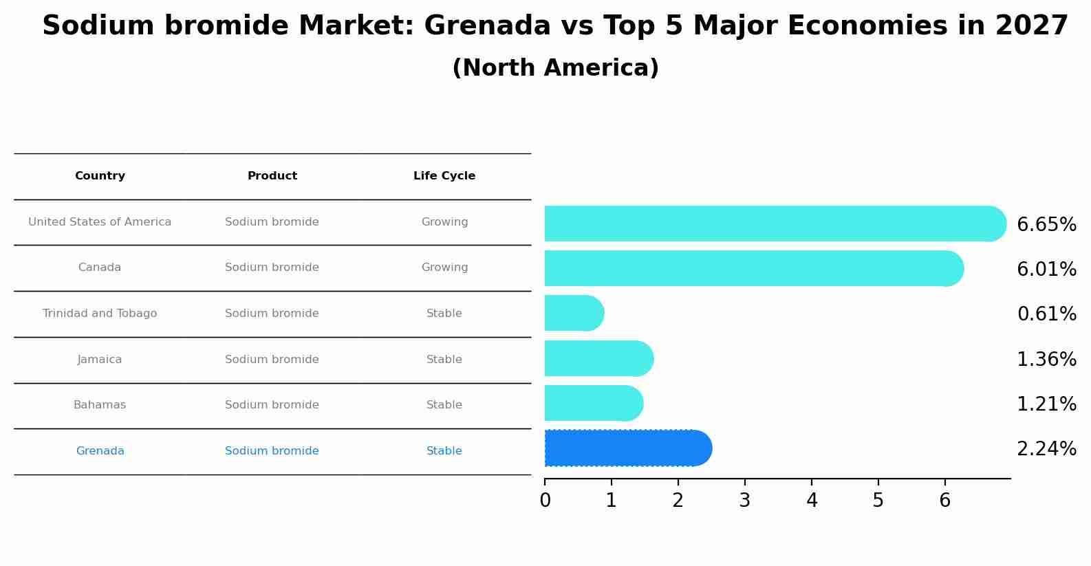 Sodium bromide Market: Grenada vs Top 5 Major Economies in 2027 (North America)