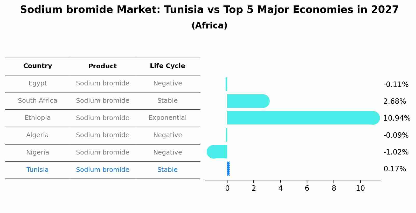 Sodium bromide Market: Tunisia vs Top 5 Major Economies in 2027 (Africa)