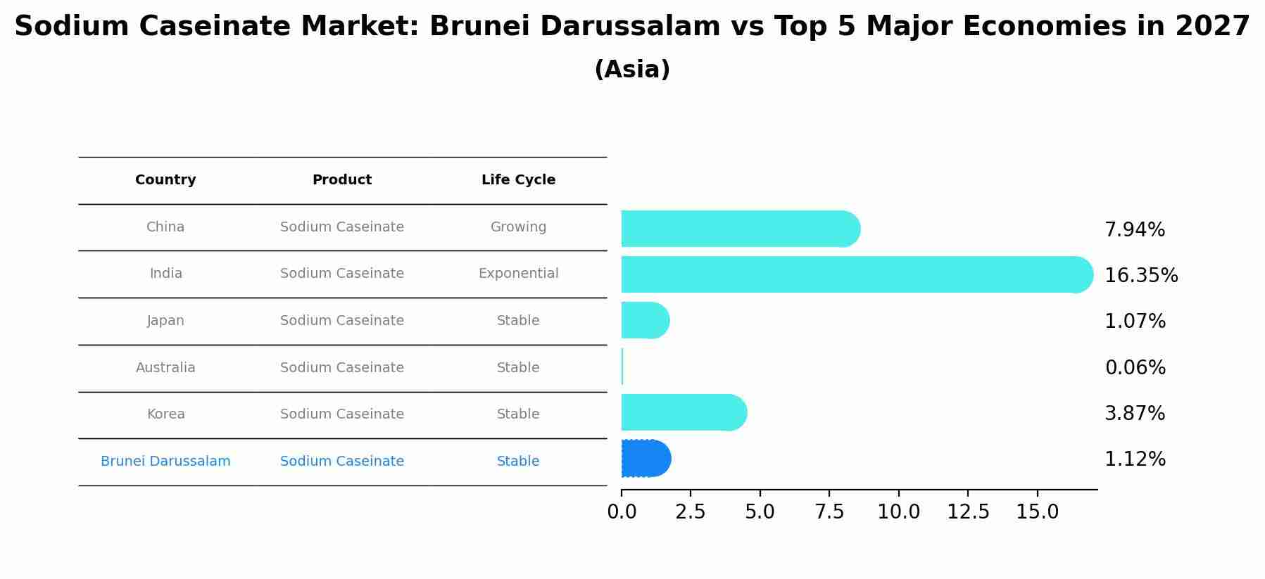 Sodium Caseinate Market: Brunei Darussalam vs Top 5 Major Economies in 2027 (Asia)