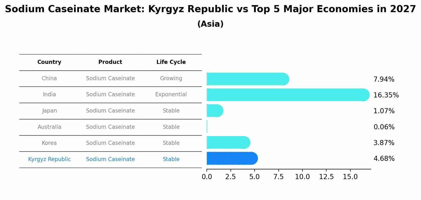 Sodium Caseinate Market: Kyrgyz Republic vs Top 5 Major Economies in 2027 (Asia)