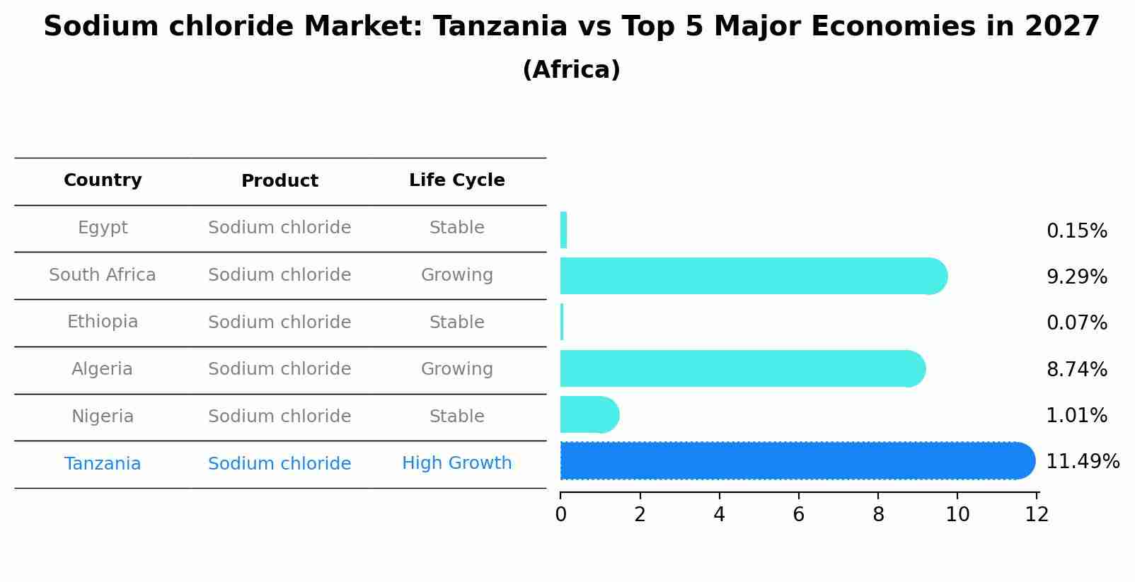 Sodium chloride Market: Tanzania vs Top 5 Major Economies in 2027 (Africa)