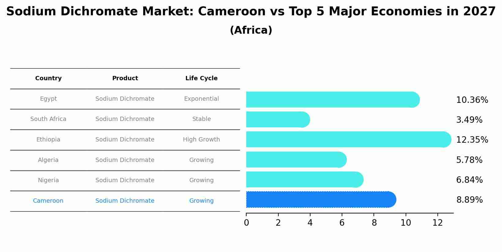Sodium Dichromate Market: Cameroon vs Top 5 Major Economies in 2027 (Africa)