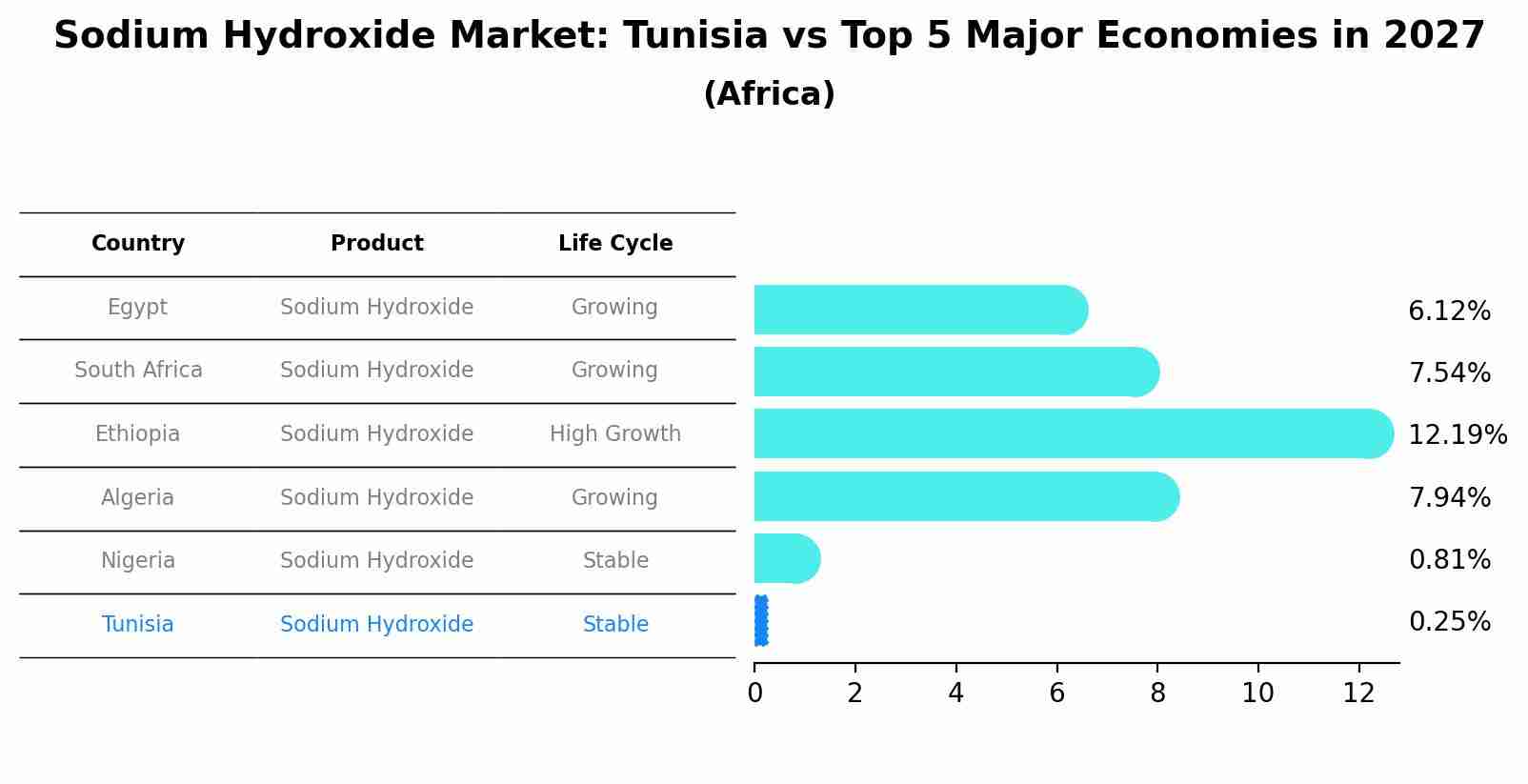 Sodium Hydroxide Market: Tunisia vs Top 5 Major Economies in 2027 (Africa)