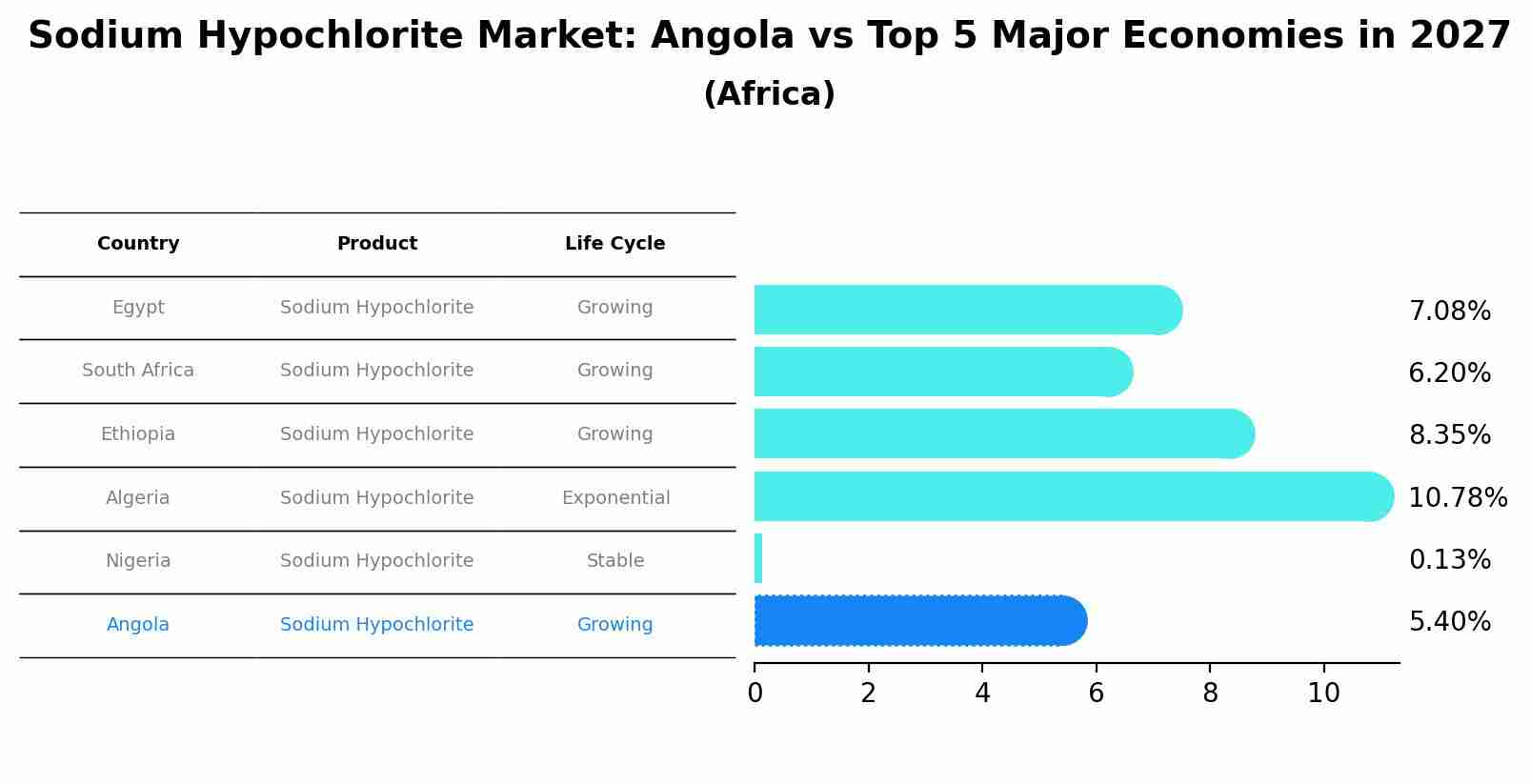 Sodium Hypochlorite Market: Angola vs Top 5 Major Economies in 2027 (Africa)