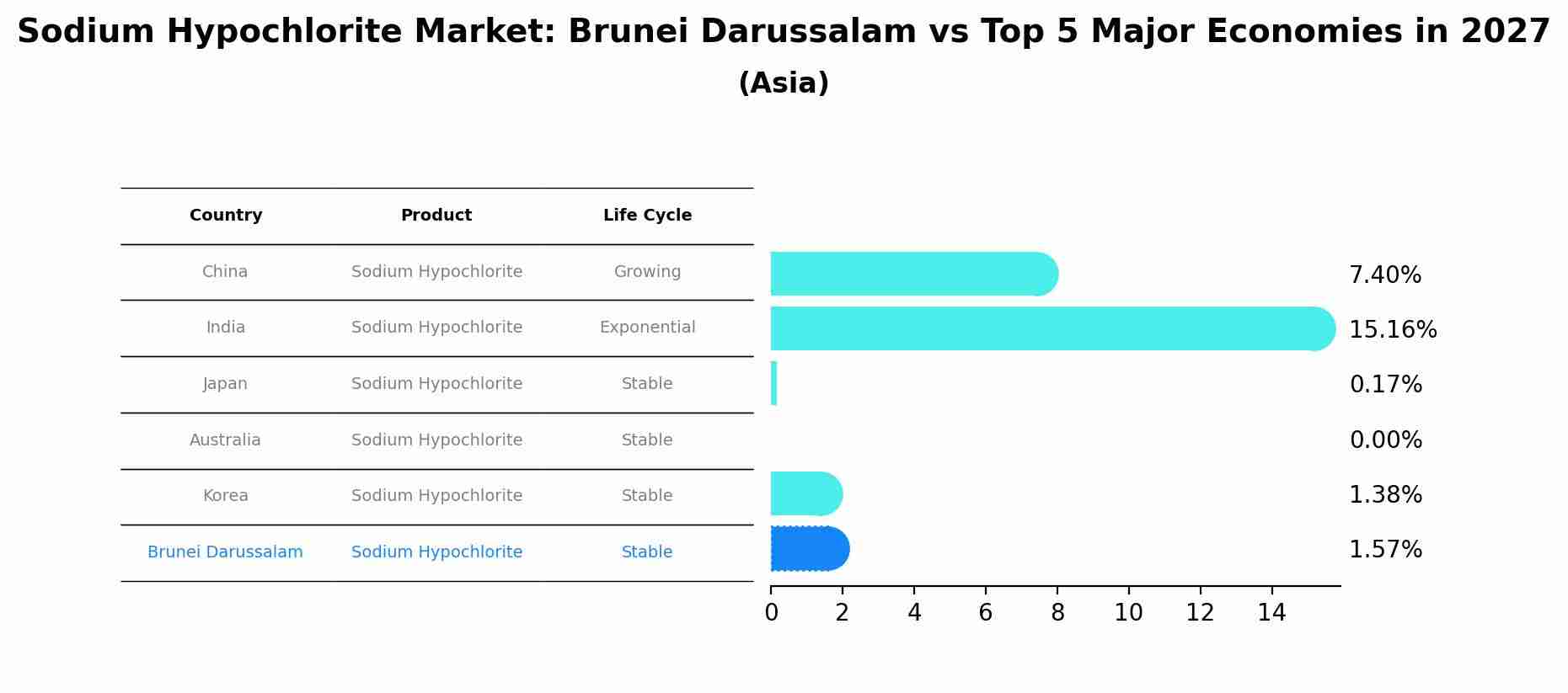 Sodium Hypochlorite Market: Brunei Darussalam vs Top 5 Major Economies in 2027 (Asia)