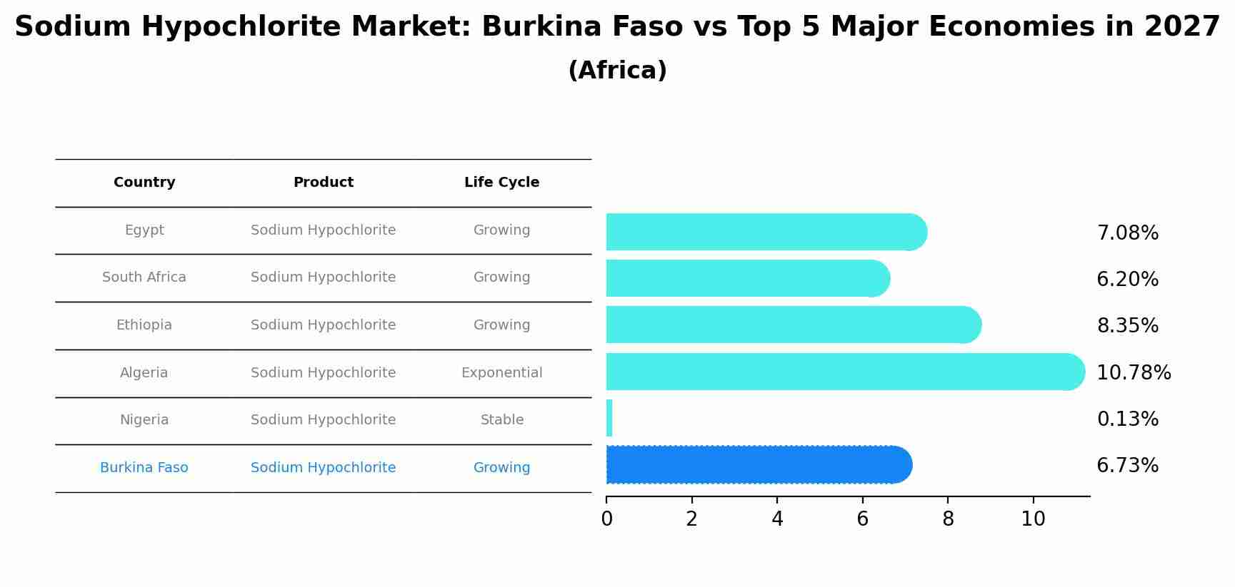 Sodium Hypochlorite Market: Burkina Faso vs Top 5 Major Economies in 2027 (Africa)