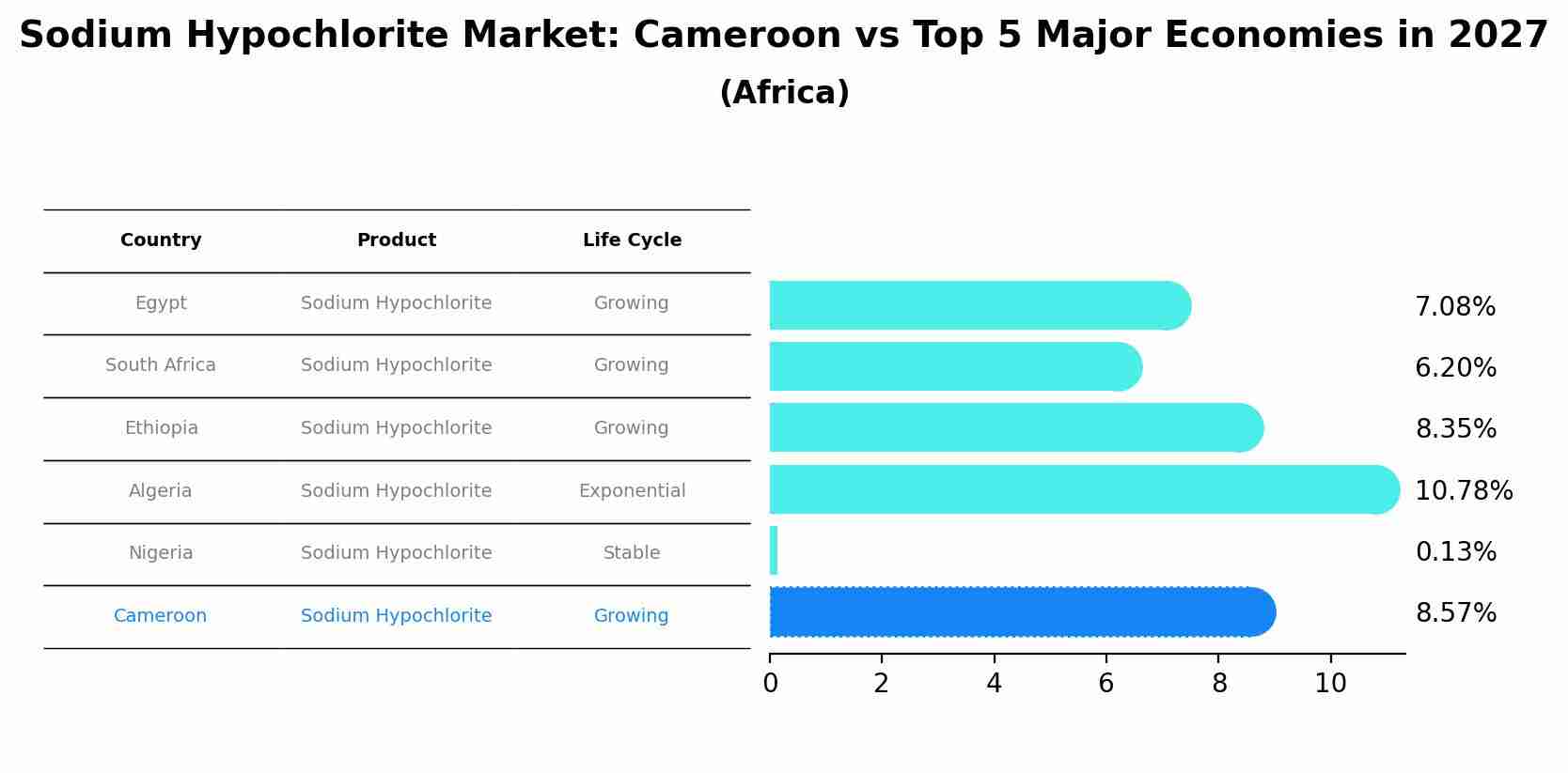 Sodium Hypochlorite Market: Cameroon vs Top 5 Major Economies in 2027 (Africa)