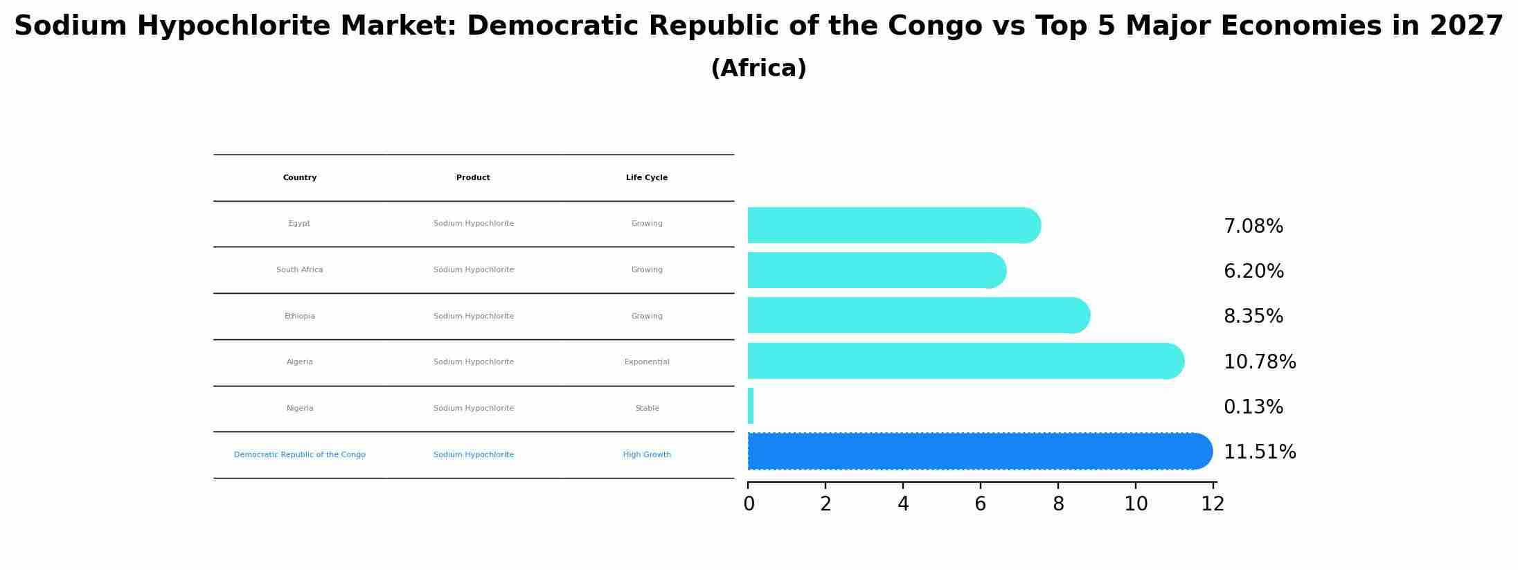 Sodium Hypochlorite Market: Democratic Republic of the Congo vs Top 5 Major Economies in 2027 (Africa)