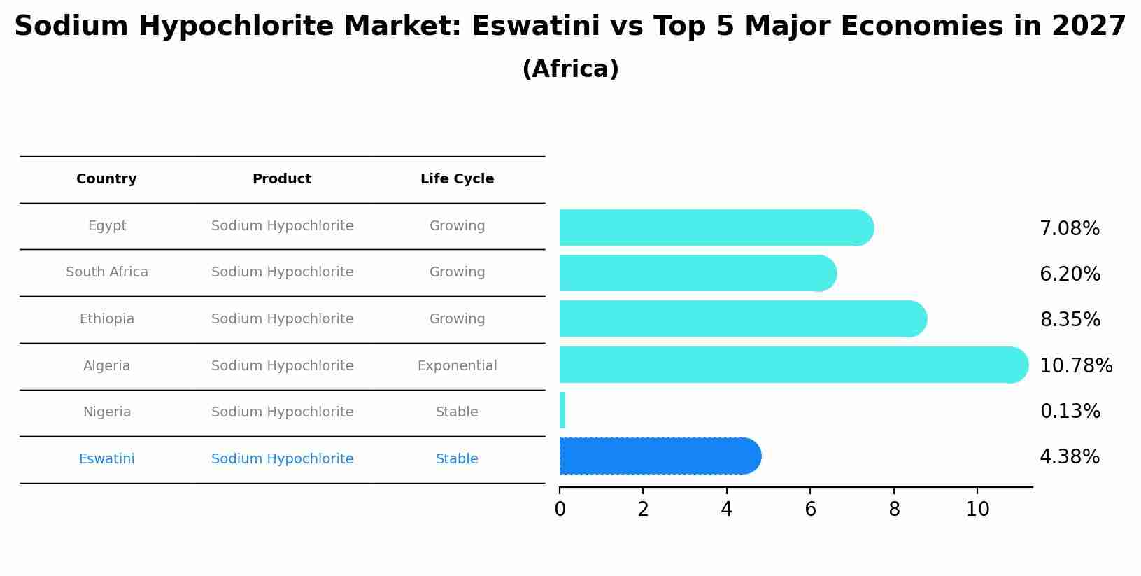 Sodium Hypochlorite Market: Eswatini vs Top 5 Major Economies in 2027 (Africa)