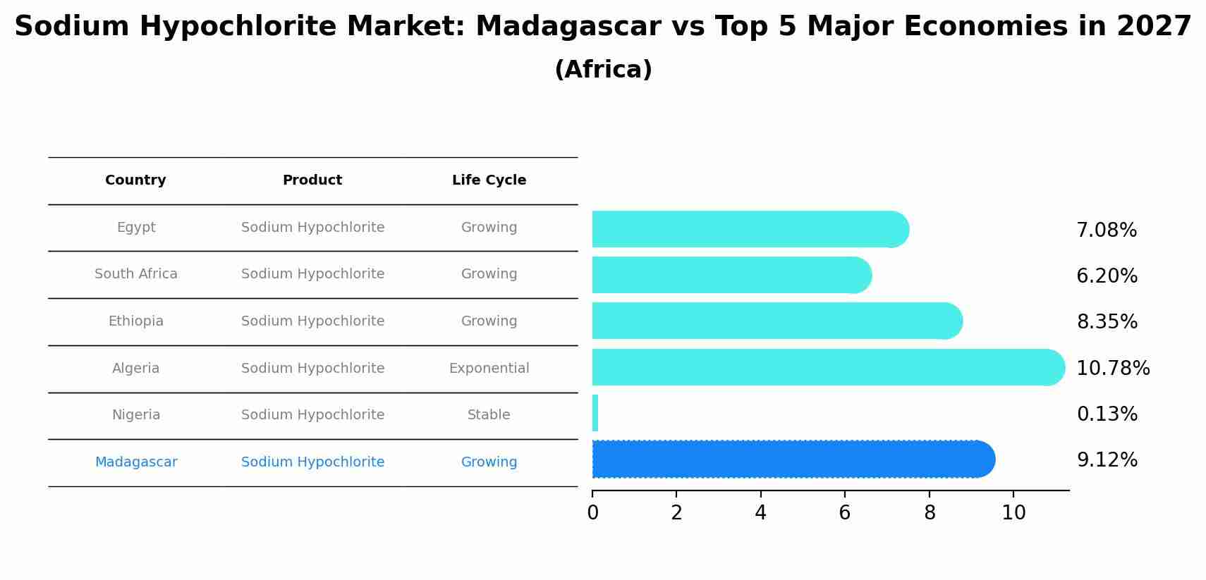 Sodium Hypochlorite Market: Madagascar vs Top 5 Major Economies in 2027 (Africa)