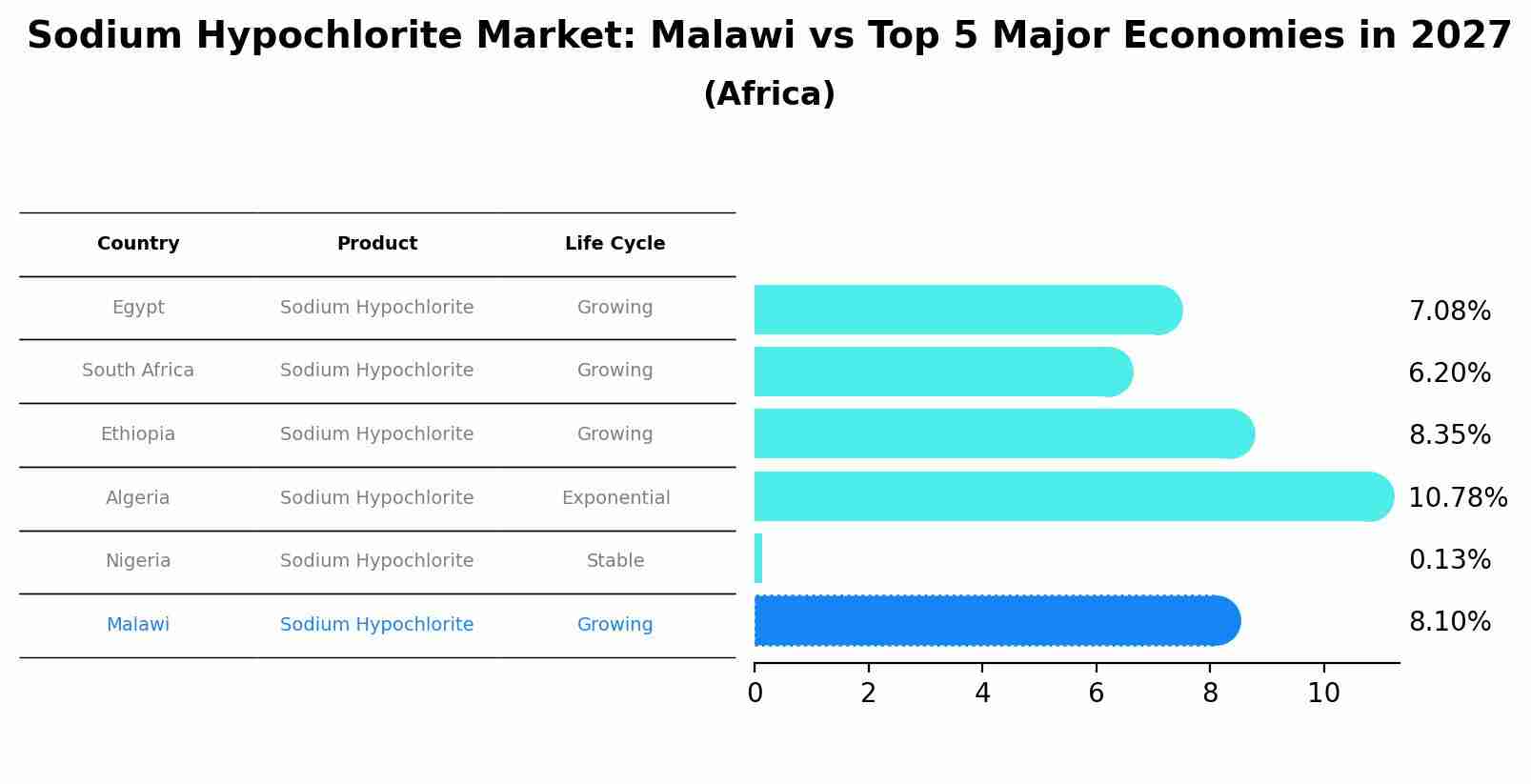 Sodium Hypochlorite Market: Malawi vs Top 5 Major Economies in 2027 (Africa)