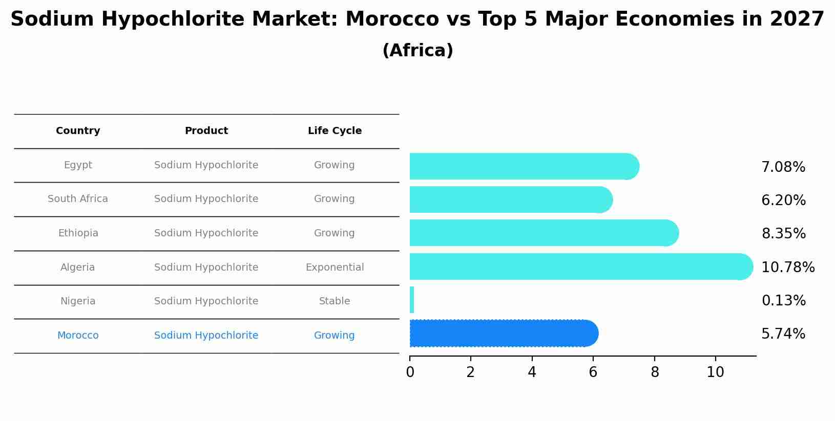 Sodium Hypochlorite Market: Morocco vs Top 5 Major Economies in 2027 (Africa)