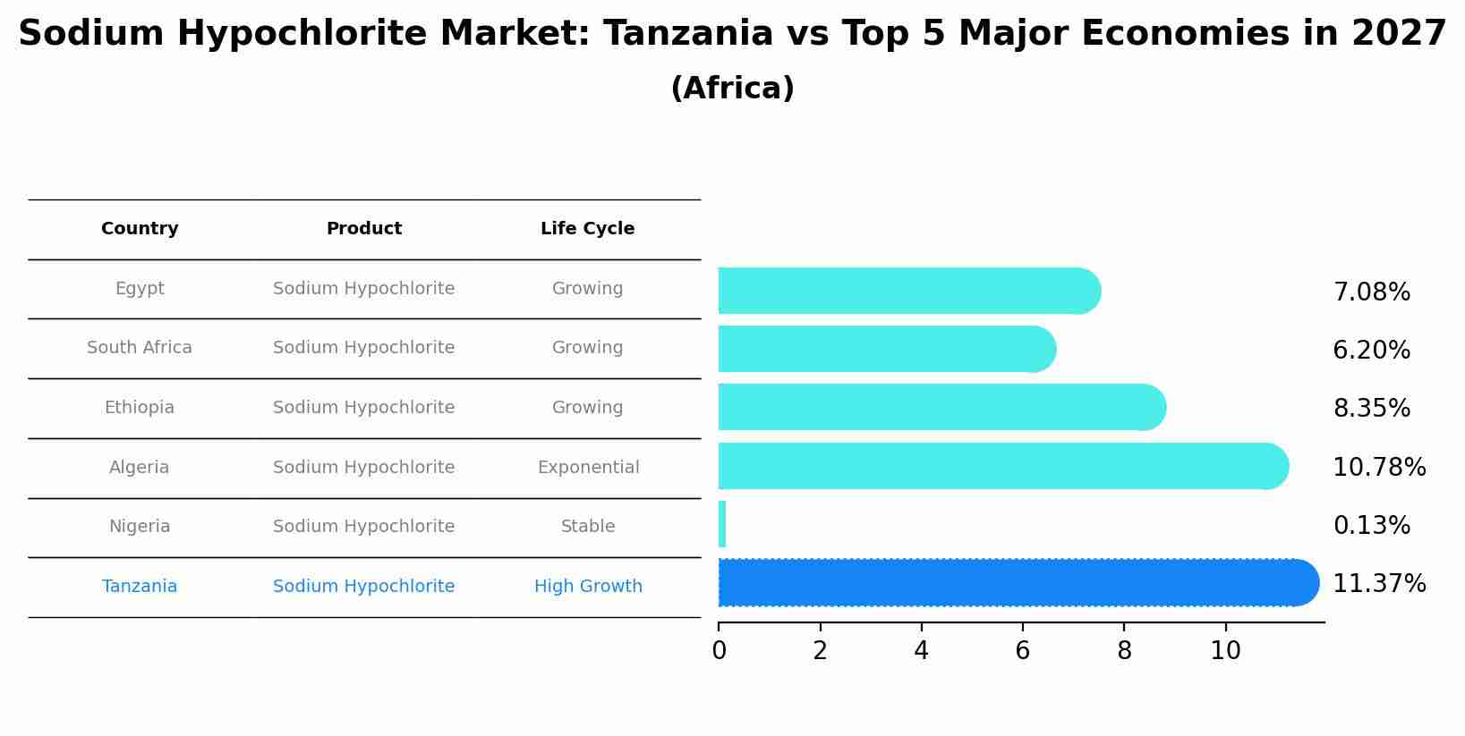 Sodium Hypochlorite Market: Tanzania vs Top 5 Major Economies in 2027 (Africa)