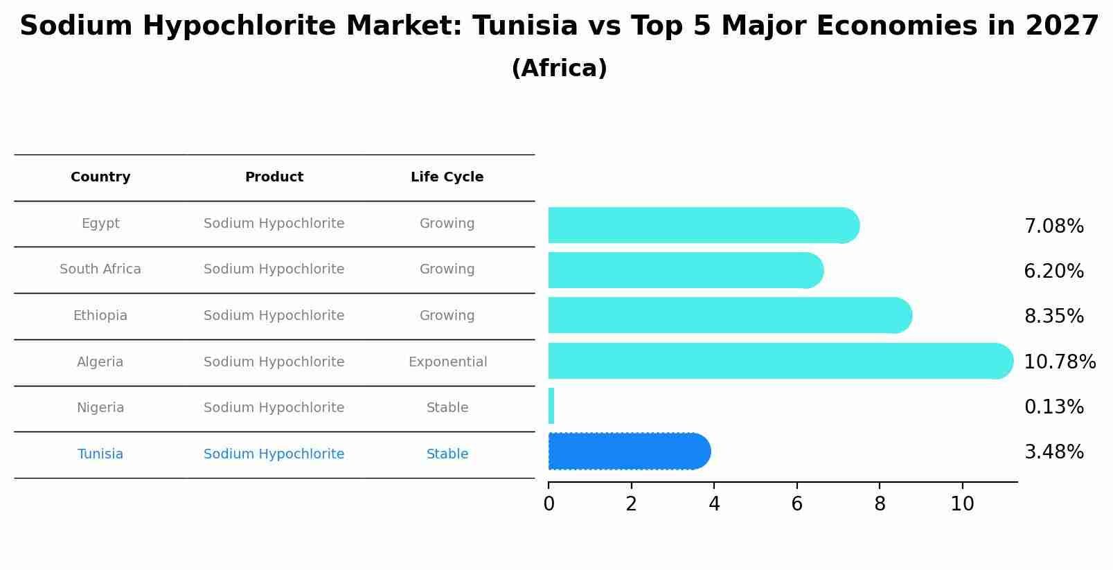 Sodium Hypochlorite Market: Tunisia vs Top 5 Major Economies in 2027 (Africa)