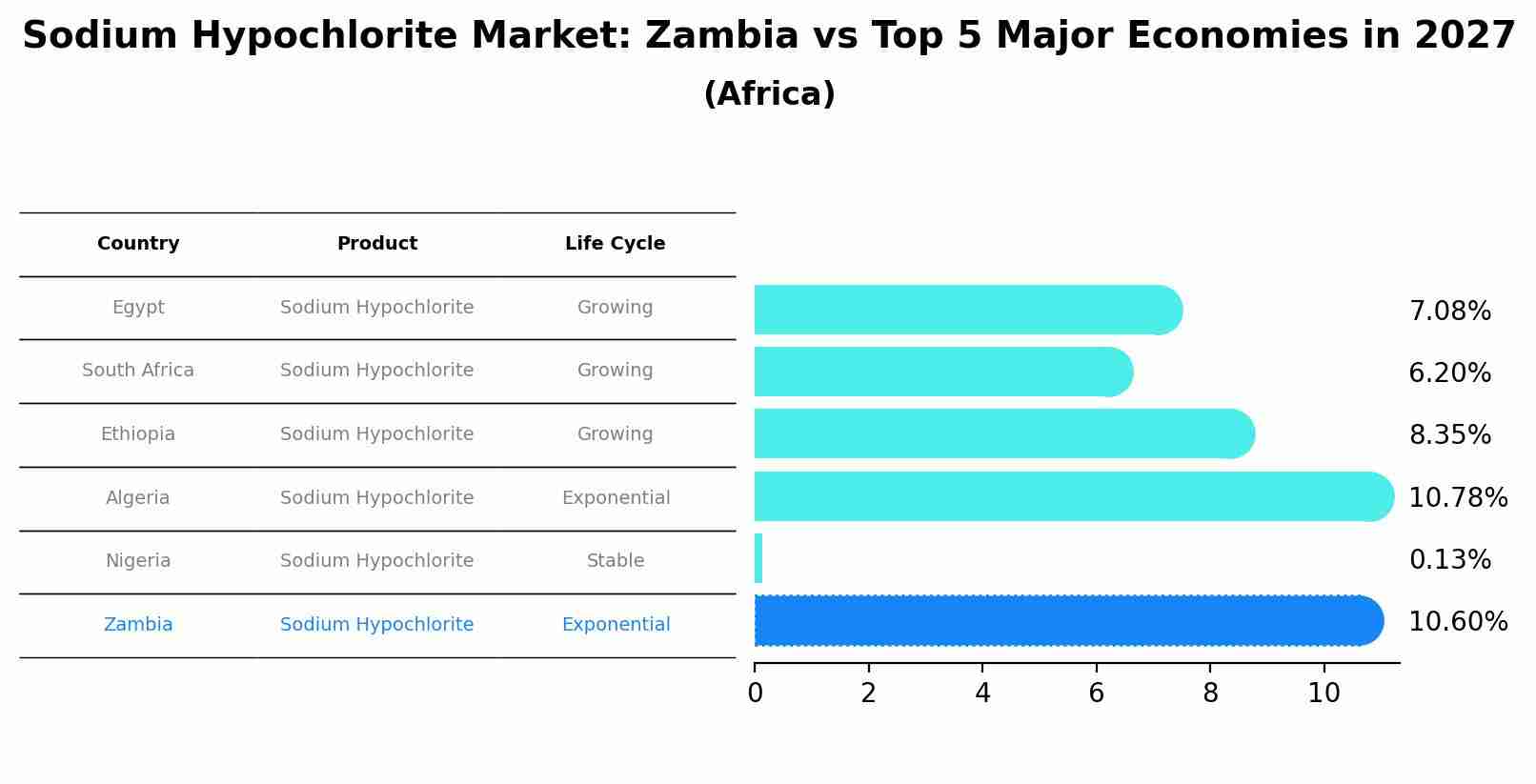 Sodium Hypochlorite Market: Zambia vs Top 5 Major Economies in 2027 (Africa)