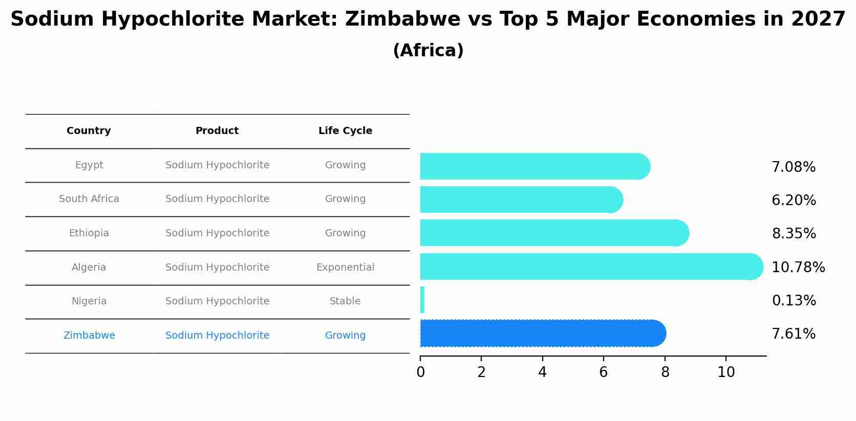 Sodium Hypochlorite Market: Zimbabwe vs Top 5 Major Economies in 2027 (Africa)