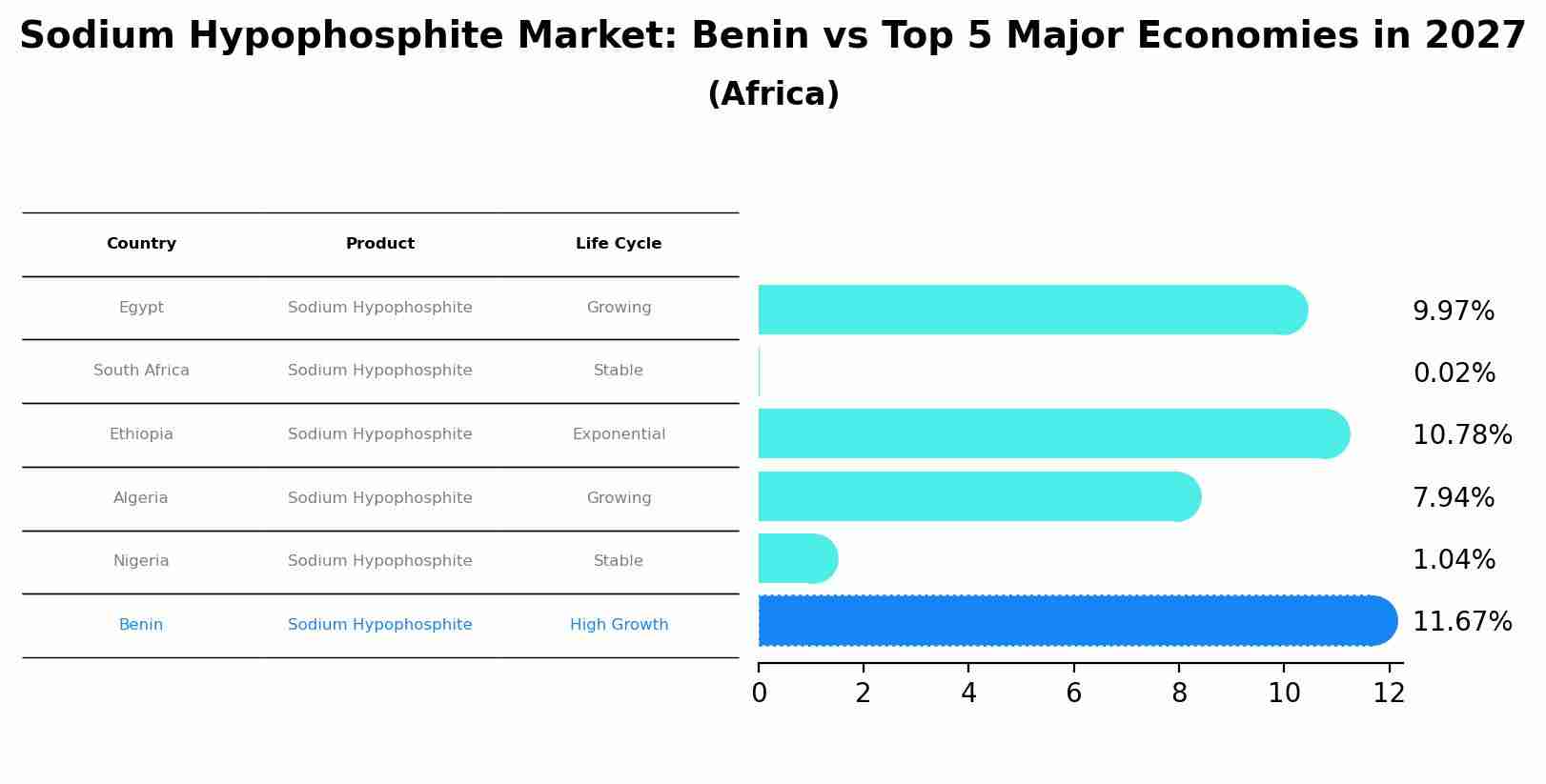 Sodium Hypophosphite Market: Benin vs Top 5 Major Economies in 2027 (Africa)