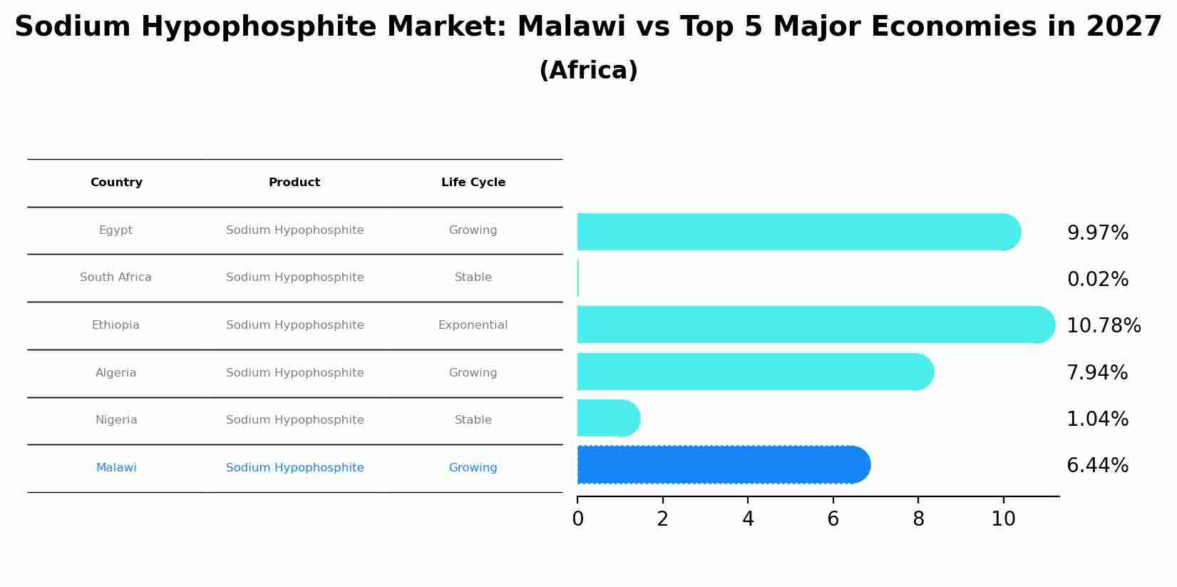 Sodium Hypophosphite Market: Malawi vs Top 5 Major Economies in 2027 (Africa)