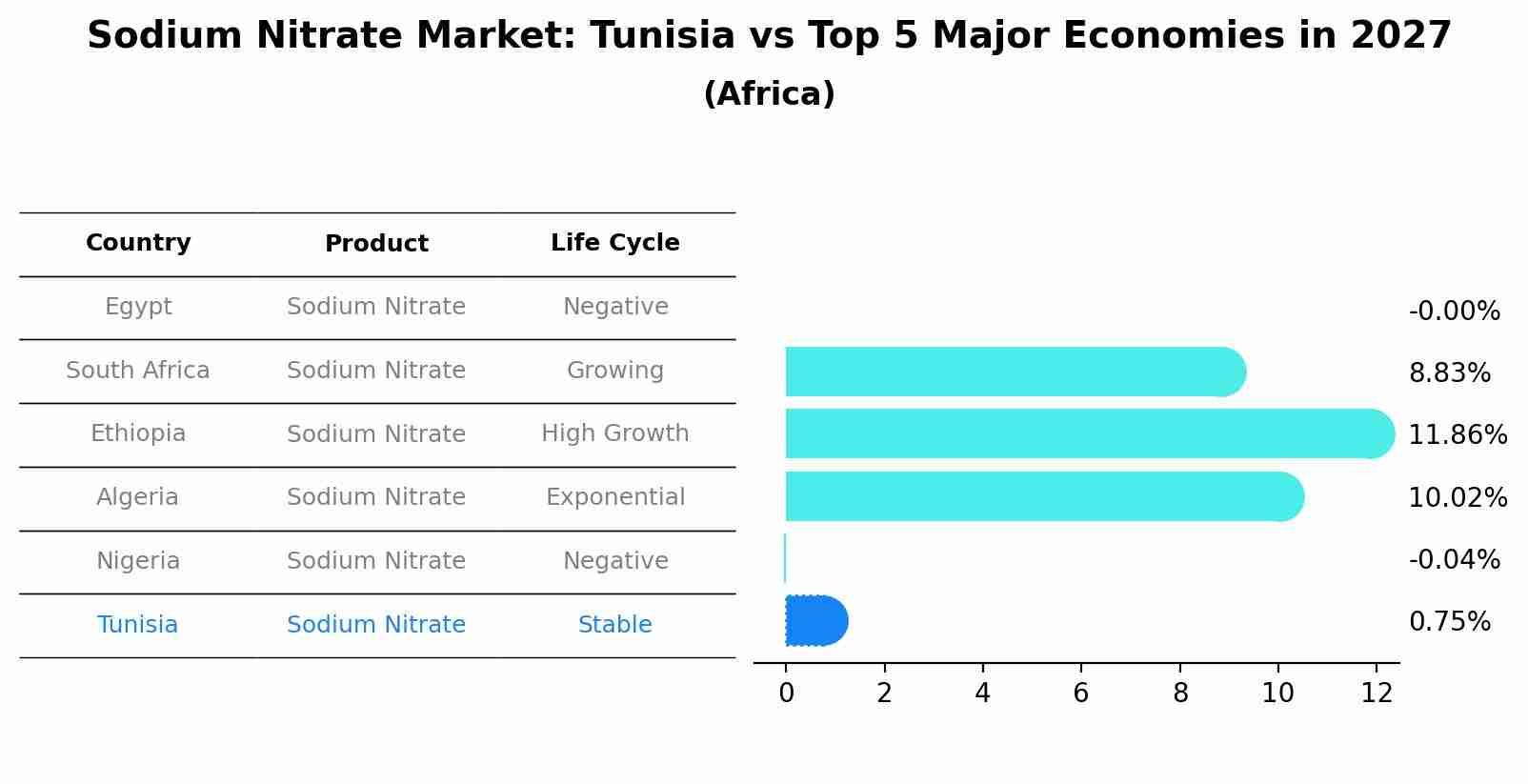 Sodium Nitrate Market: Tunisia vs Top 5 Major Economies in 2027 (Africa)