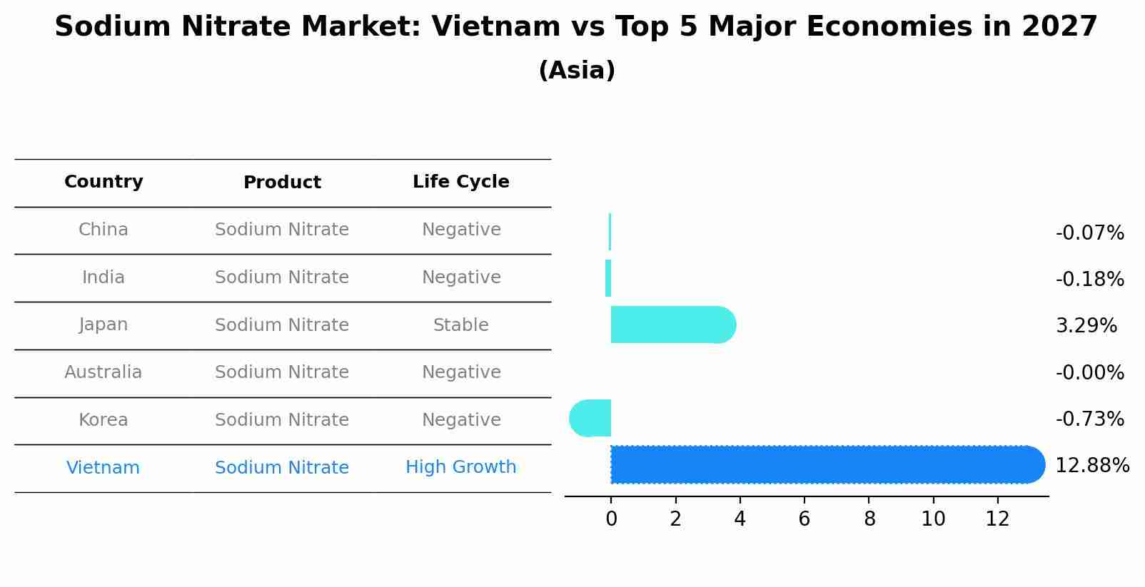 Sodium Nitrate Market: Vietnam vs Top 5 Major Economies in 2027 (Asia)
