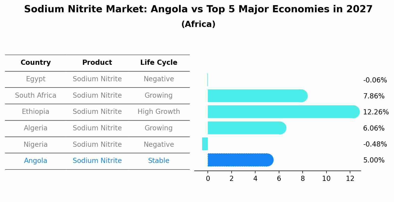 Sodium Nitrite Market: Angola vs Top 5 Major Economies in 2027 (Africa)