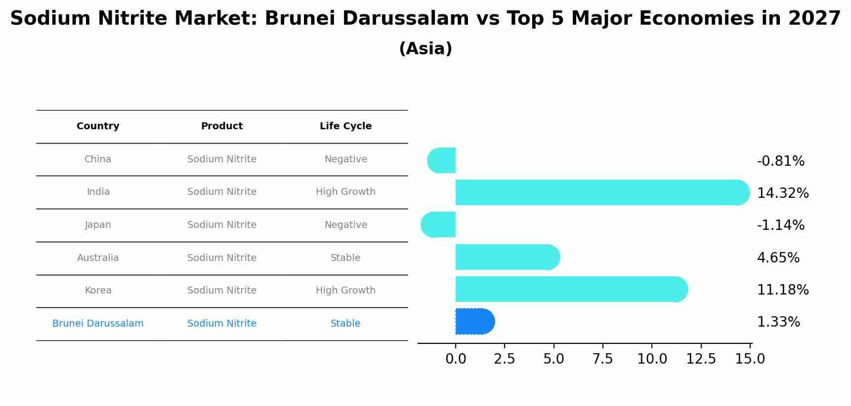 Sodium Nitrite Market: Brunei Darussalam vs Top 5 Major Economies in 2027 (Asia)