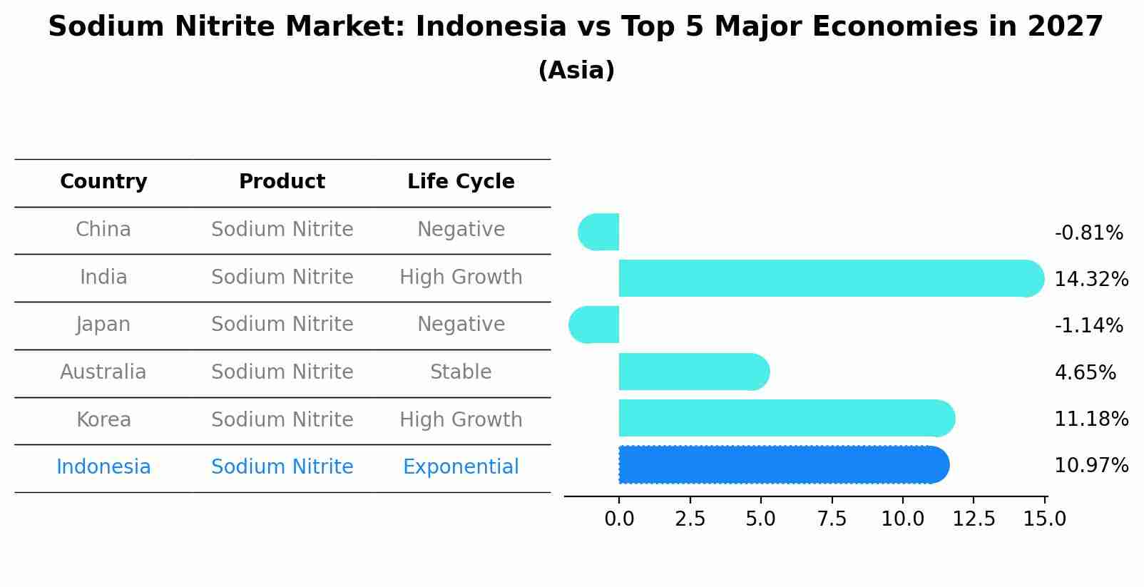 Sodium Nitrite Market: Indonesia vs Top 5 Major Economies in 2027 (Asia)