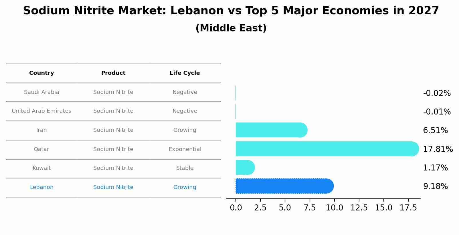 Sodium Nitrite Market: Lebanon vs Top 5 Major Economies in 2027 (Middle East)