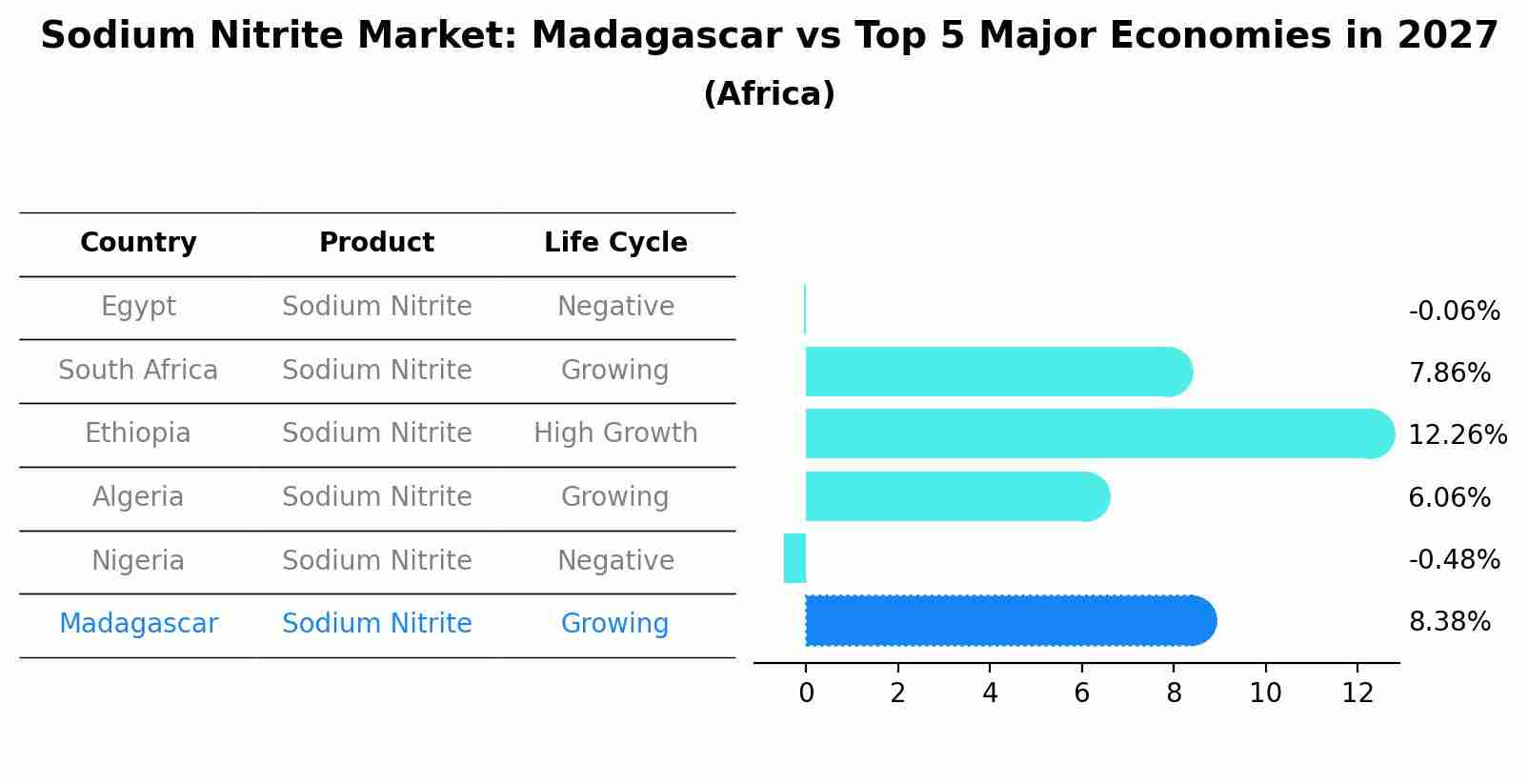 Sodium Nitrite Market: Madagascar vs Top 5 Major Economies in 2027 (Africa)