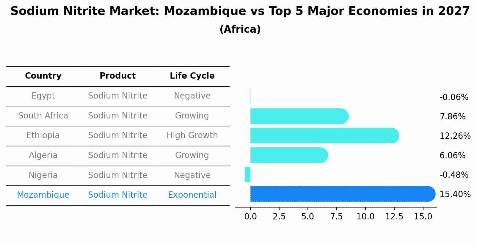 Sodium Nitrite Market: Mozambique vs Top 5 Major Economies in 2027 (Africa)