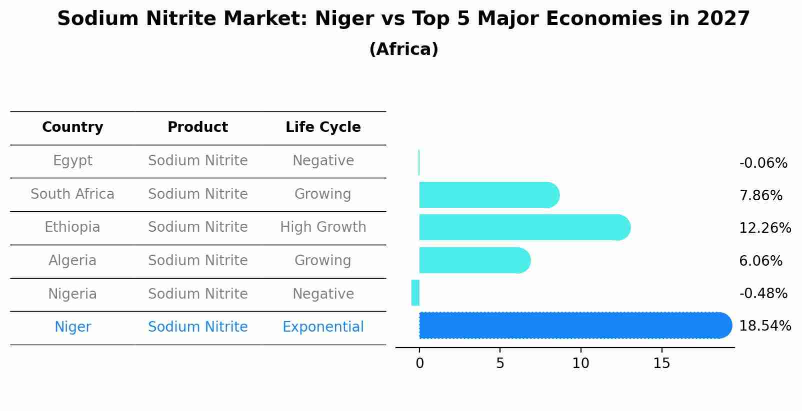 Sodium Nitrite Market: Niger vs Top 5 Major Economies in 2027 (Africa)