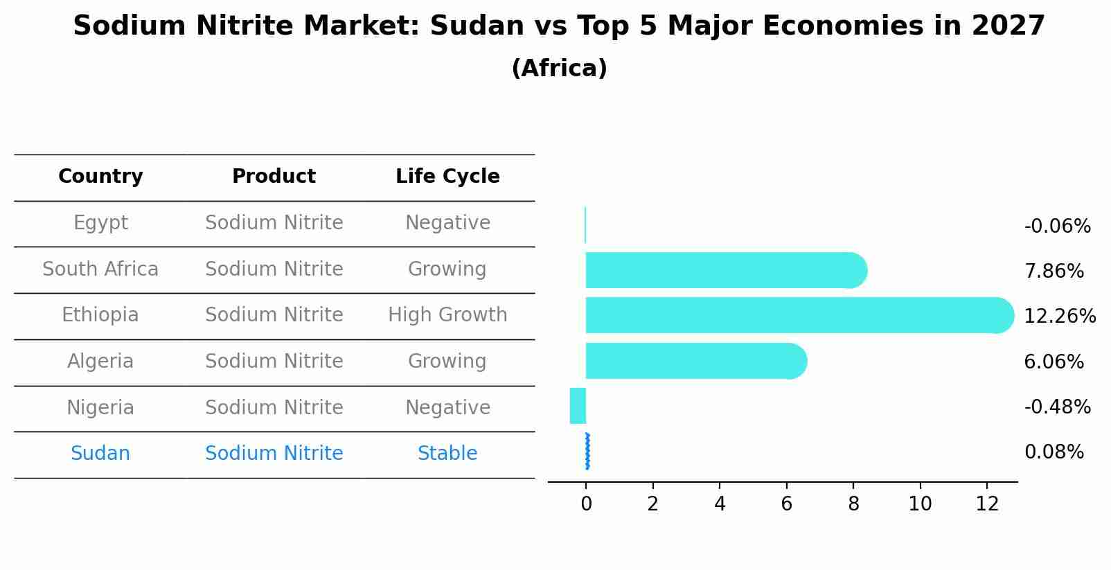 Sodium Nitrite Market: Sudan vs Top 5 Major Economies in 2027 (Africa)