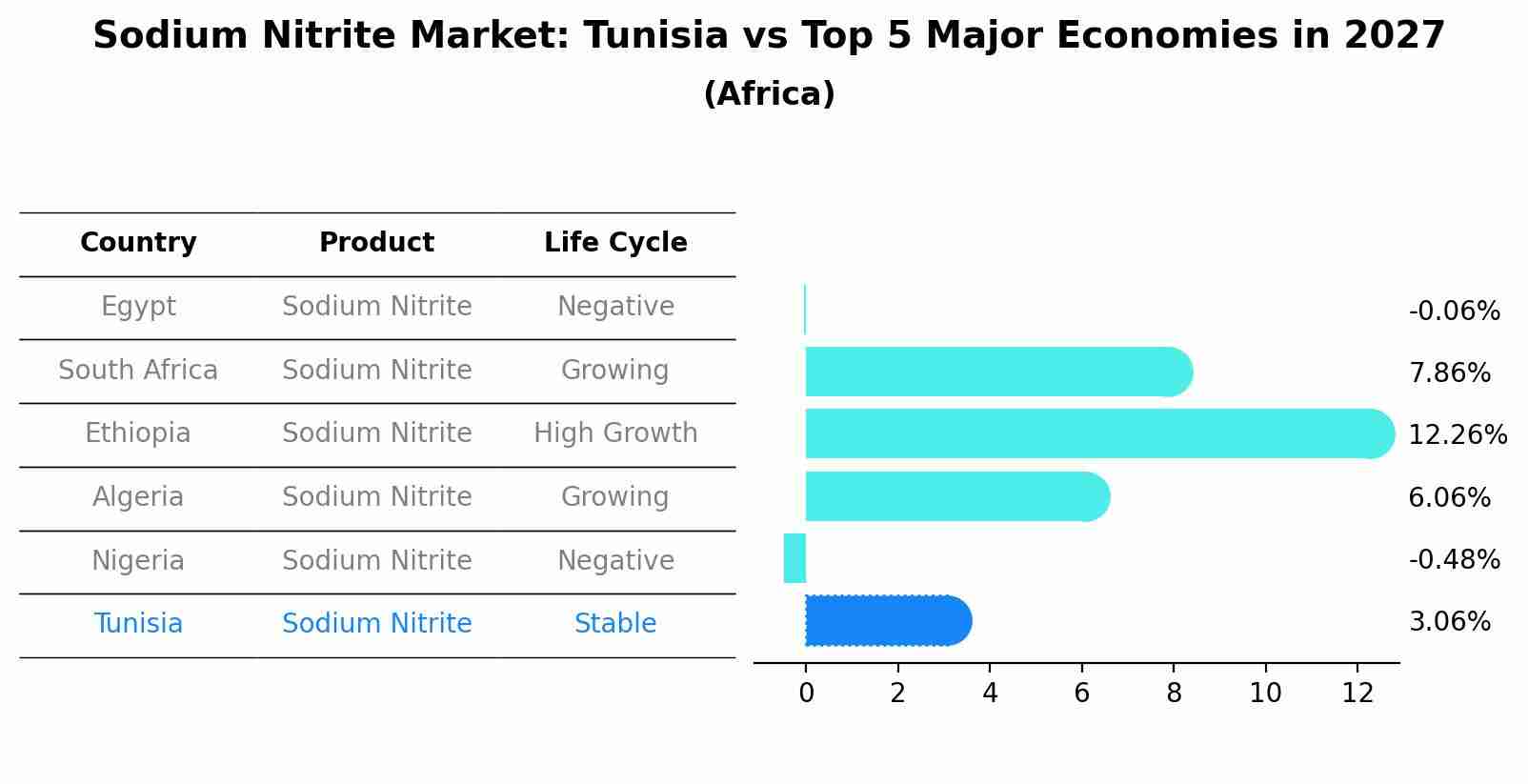 Sodium Nitrite Market: Tunisia vs Top 5 Major Economies in 2027 (Africa)