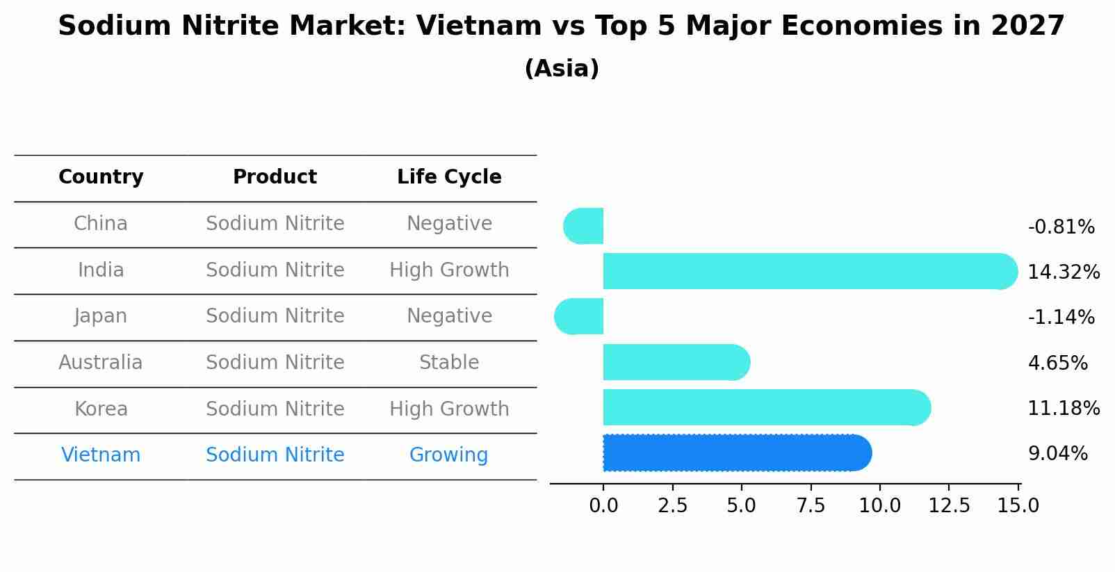 Sodium Nitrite Market: Vietnam vs Top 5 Major Economies in 2027 (Asia)