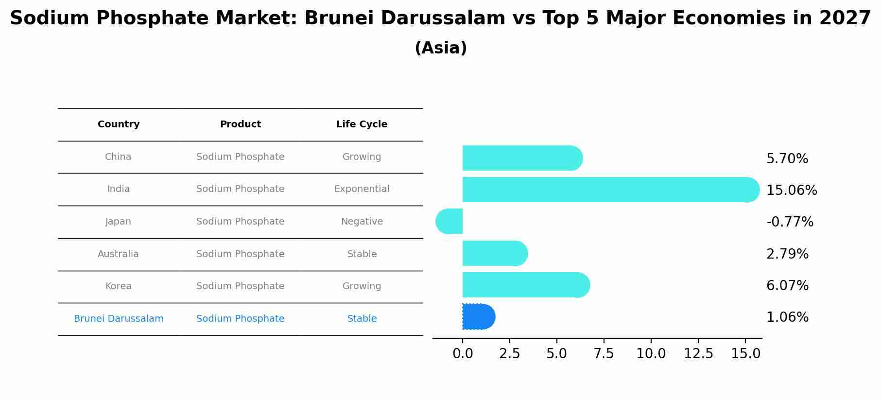Sodium Phosphate Market: Brunei Darussalam vs Top 5 Major Economies in 2027 (Asia)