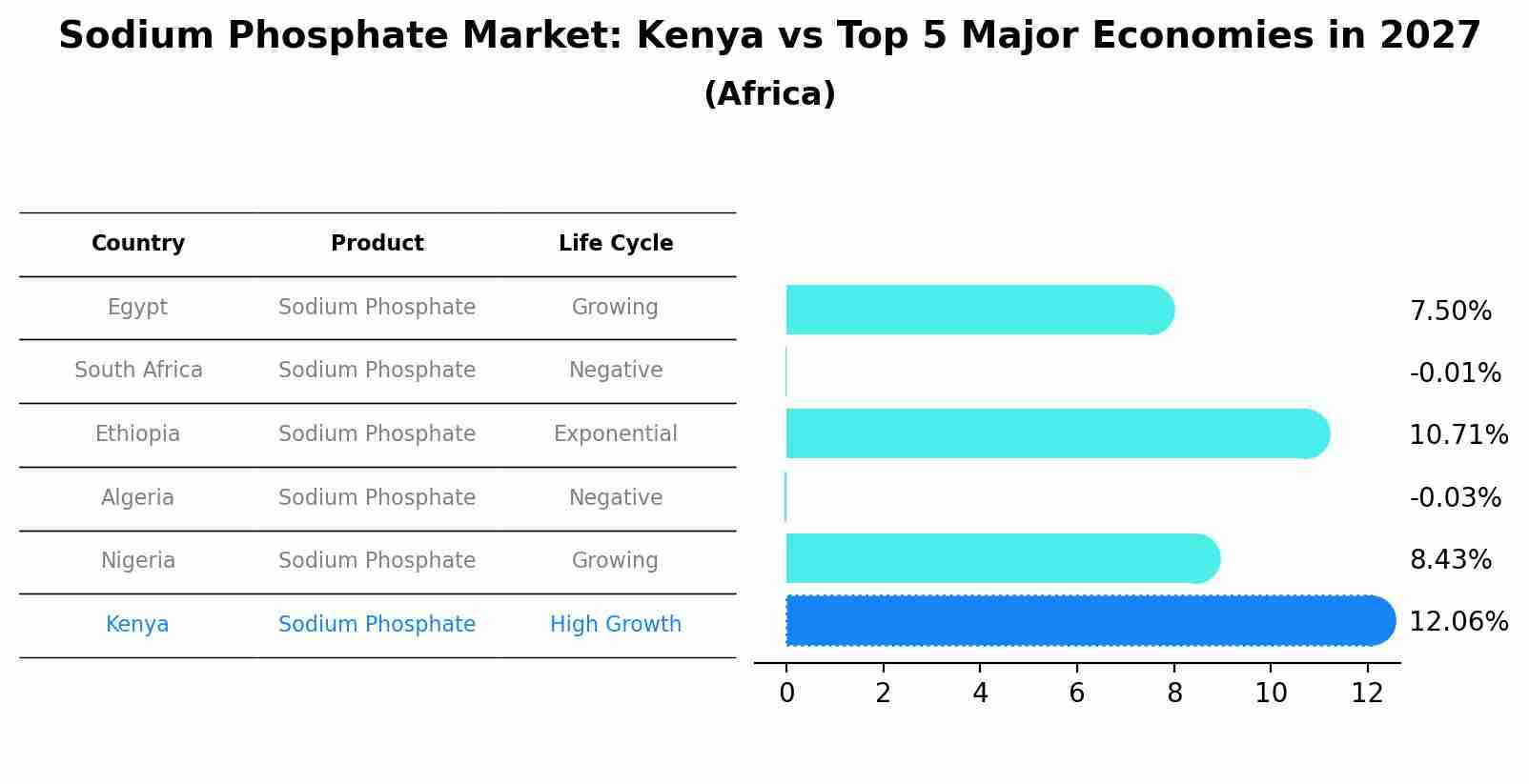 Sodium Phosphate Market: Kenya vs Top 5 Major Economies in 2027 (Africa)