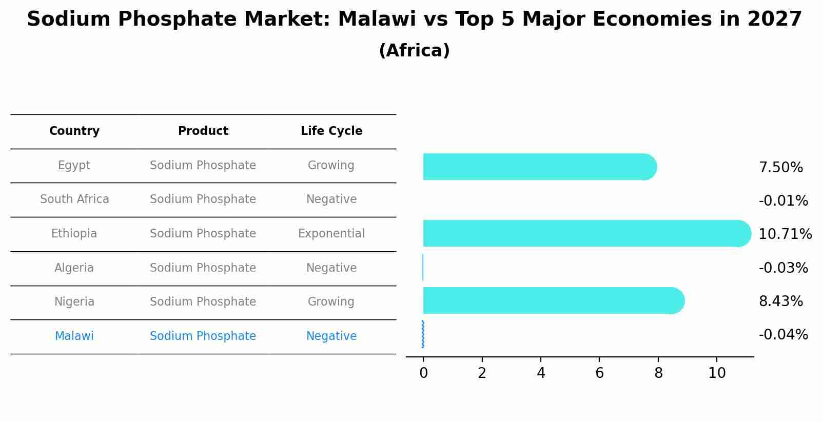 Sodium Phosphate Market: Malawi vs Top 5 Major Economies in 2027 (Africa)