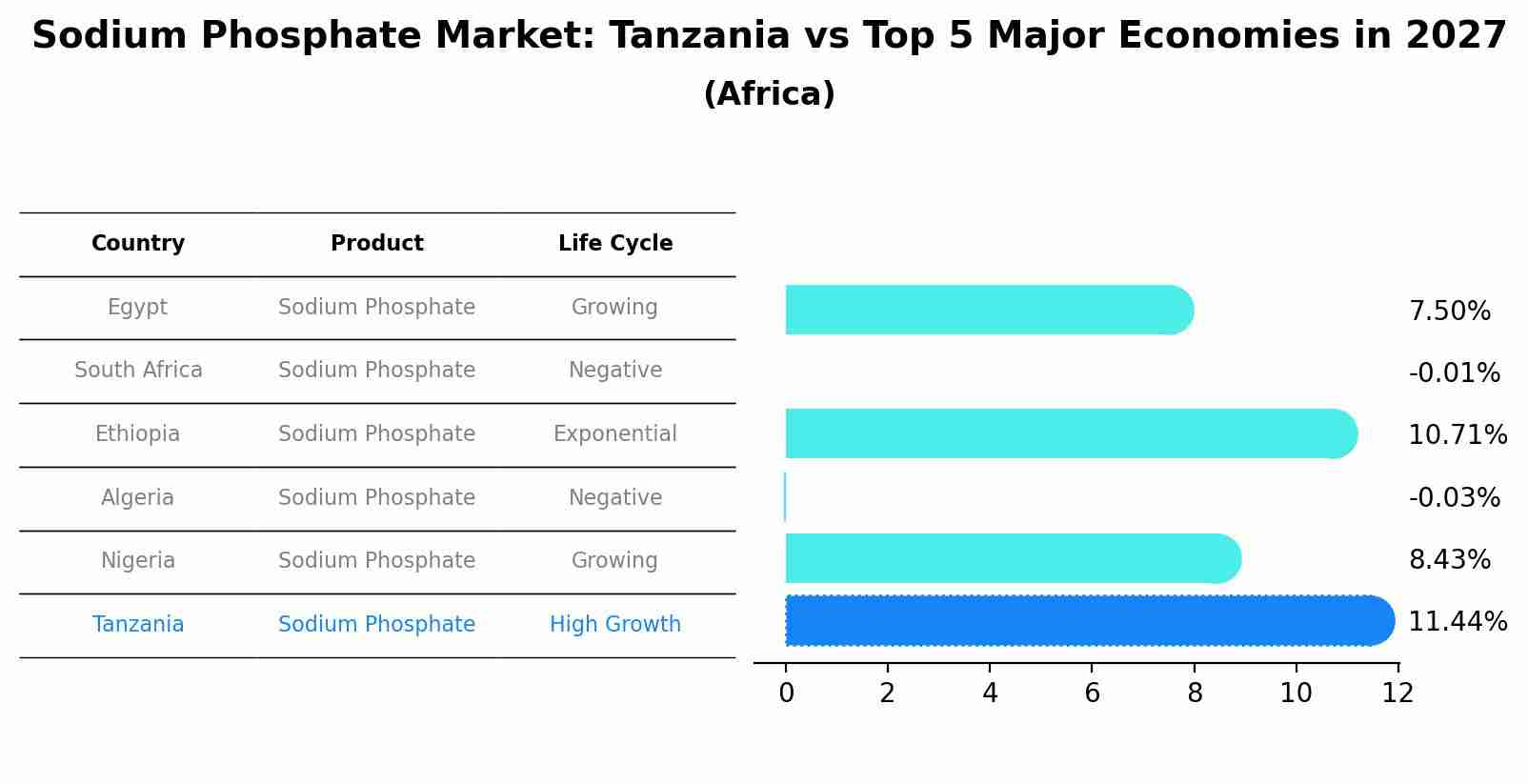 Sodium Phosphate Market: Tanzania vs Top 5 Major Economies in 2027 (Africa)