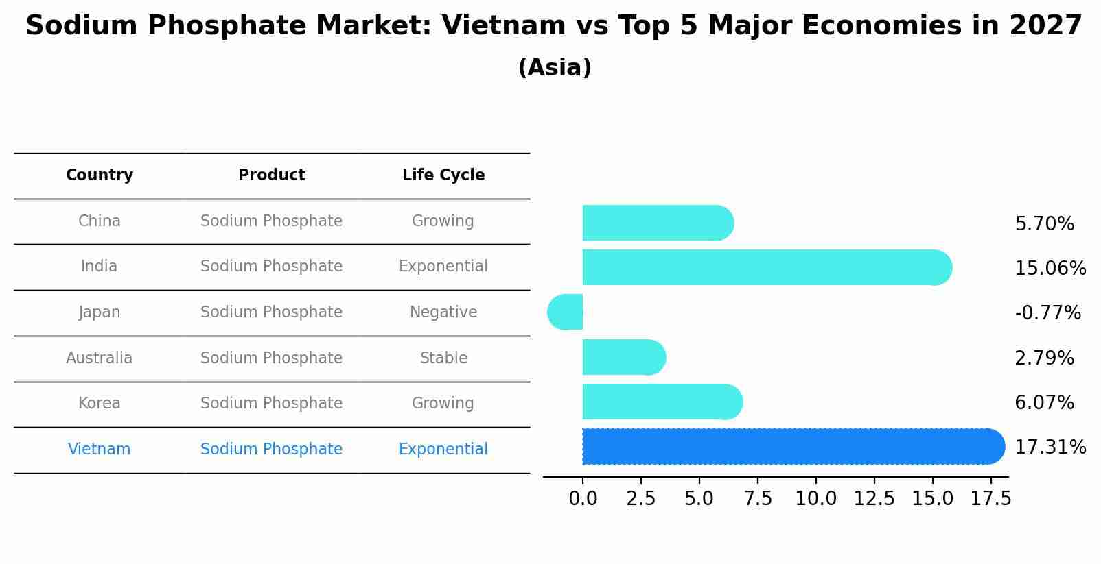 Sodium Phosphate Market: Vietnam vs Top 5 Major Economies in 2027 (Asia)