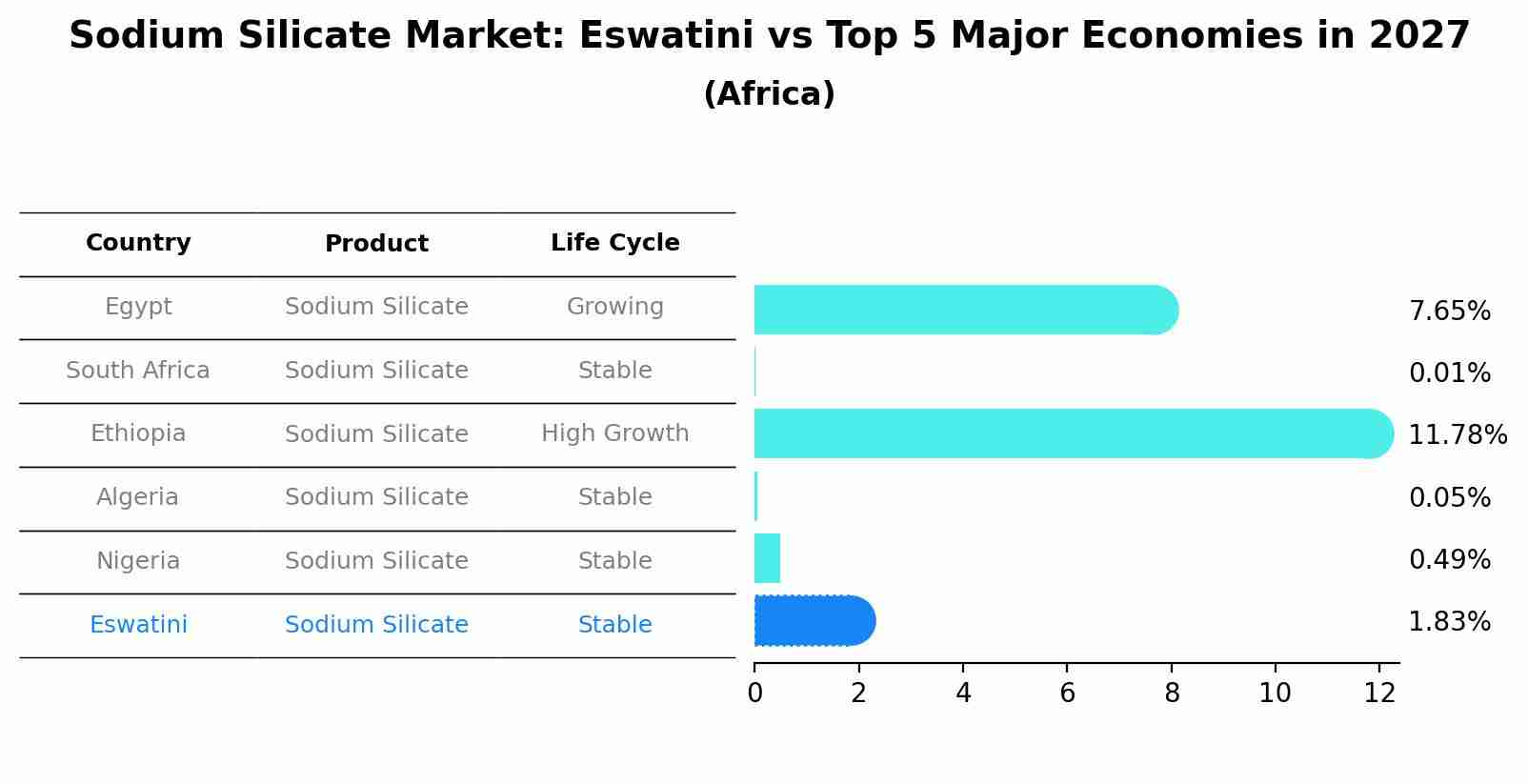 Sodium Silicate Market: Eswatini vs Top 5 Major Economies in 2027 (Africa)