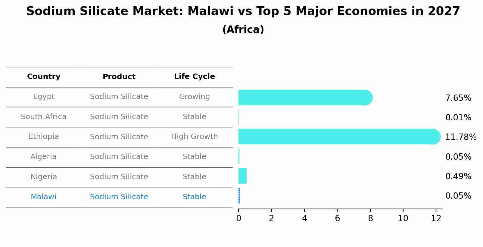 Sodium Silicate Market: Malawi vs Top 5 Major Economies in 2027 (Africa)