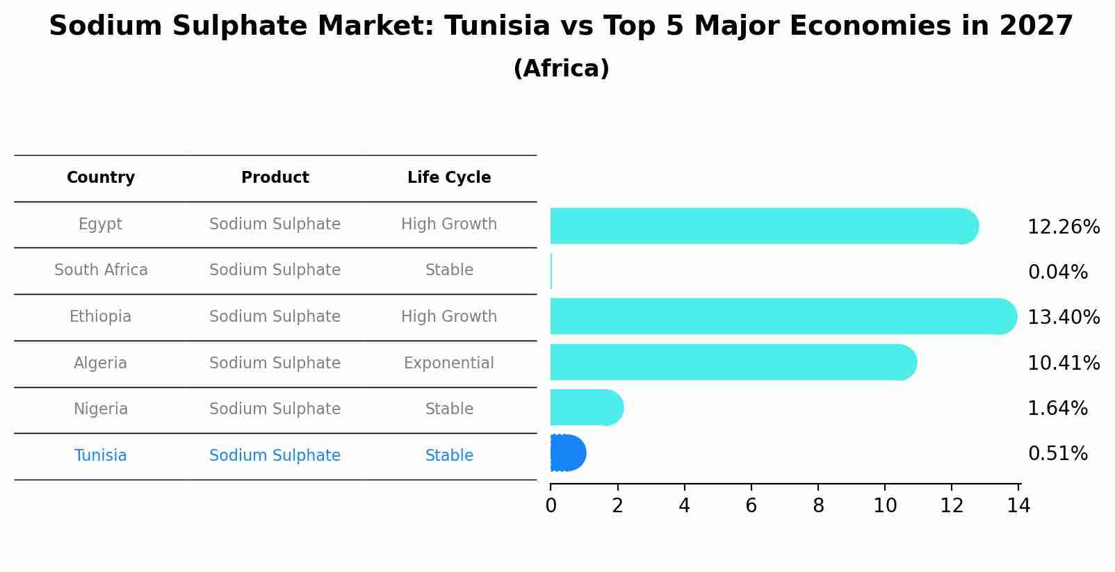 Sodium Sulphate Market: Tunisia vs Top 5 Major Economies in 2027 (Africa)